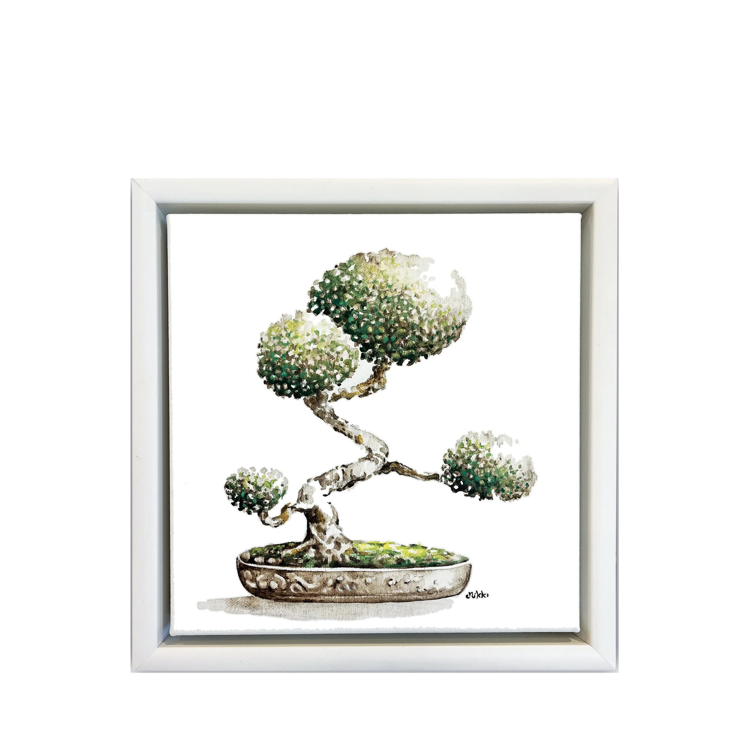 The Quiet Bonsai-20x20cm-original-oil colour-nikki-Quarry.jpg (Copy)