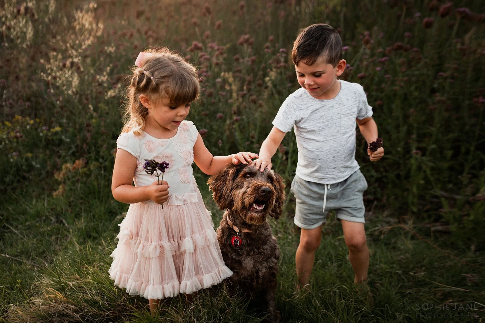 Family photography, Auckland (Copy)