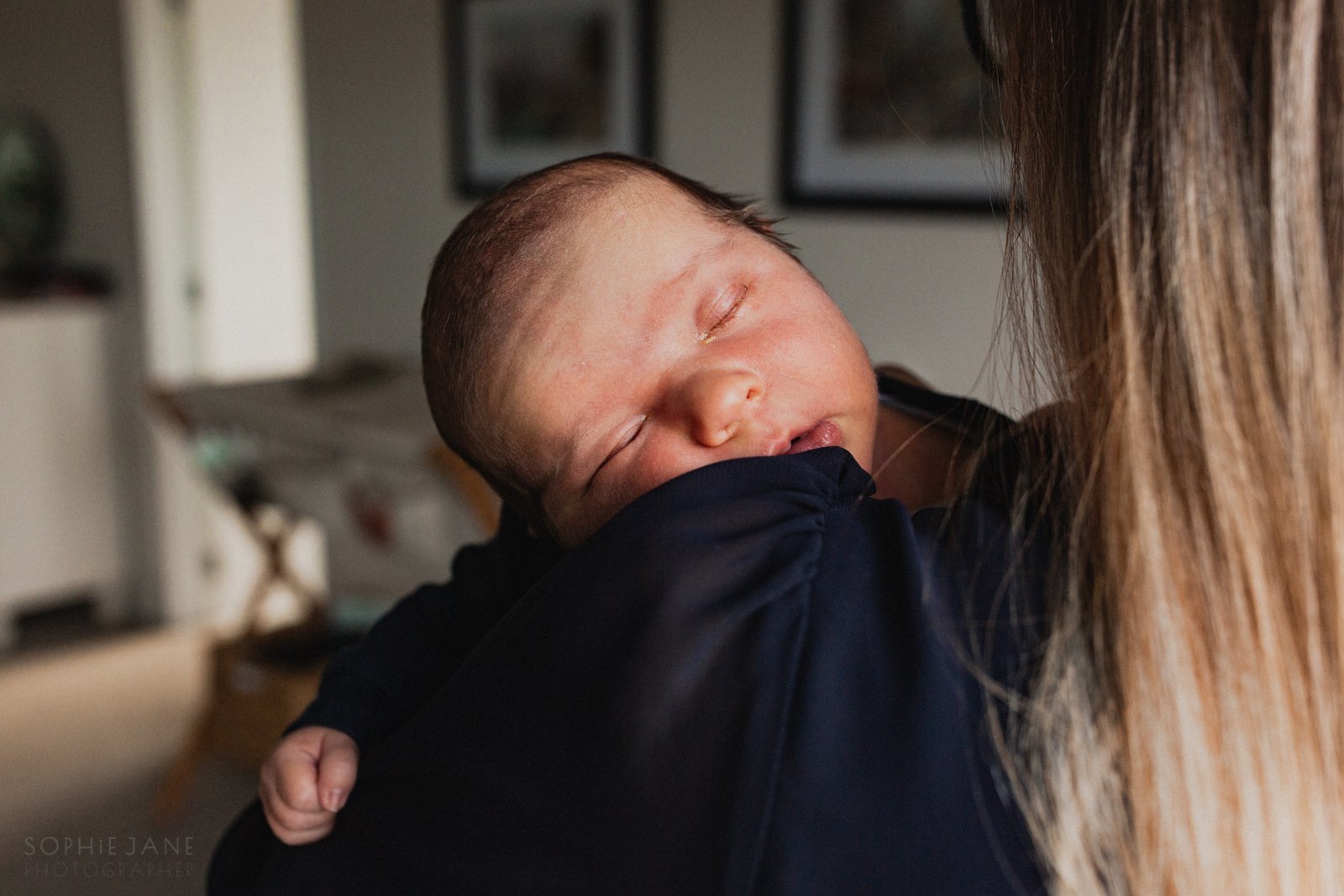 auckland-newborn-photographer-1295.jpg