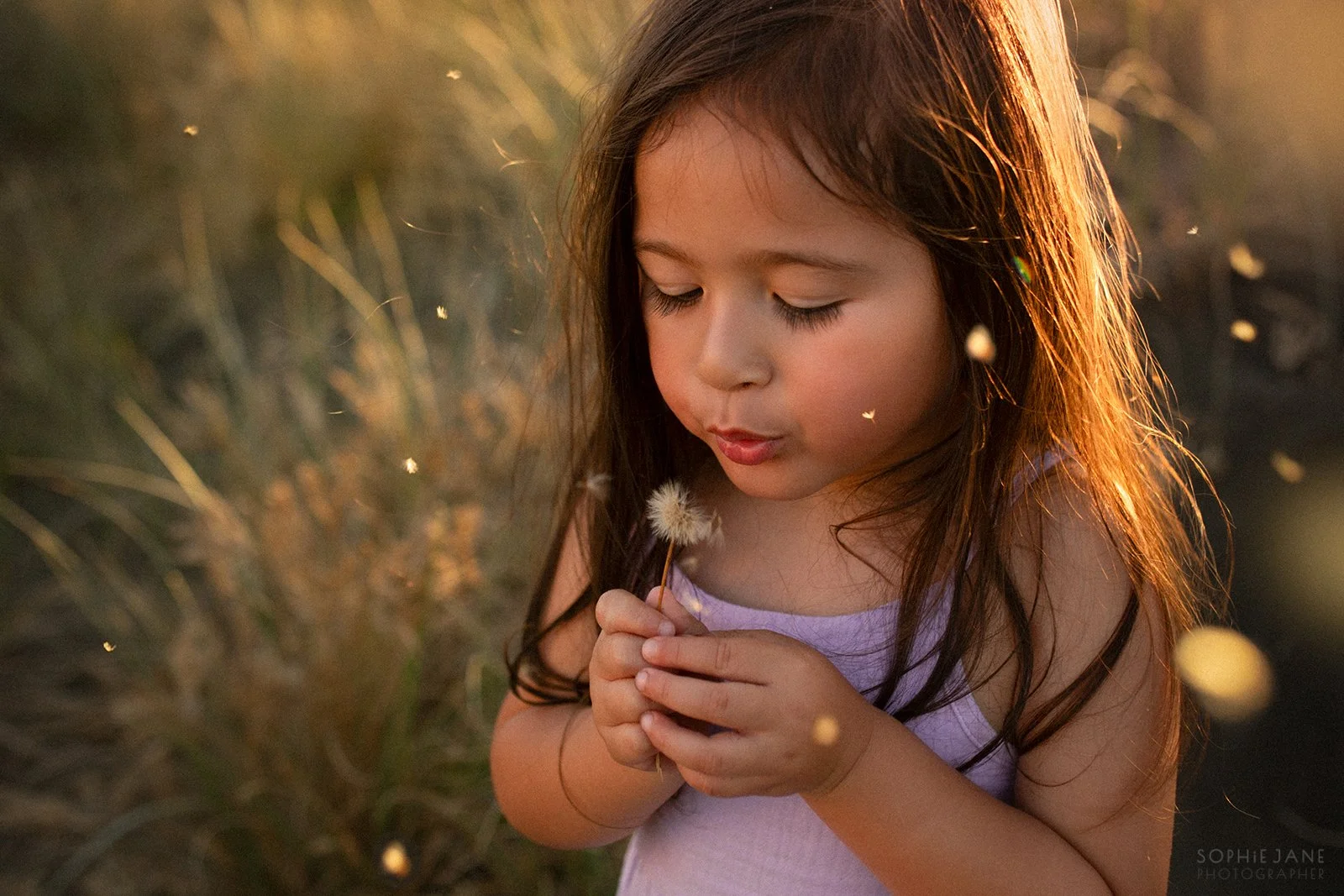 Golden hour family session, Piha, Auckland (Copy)