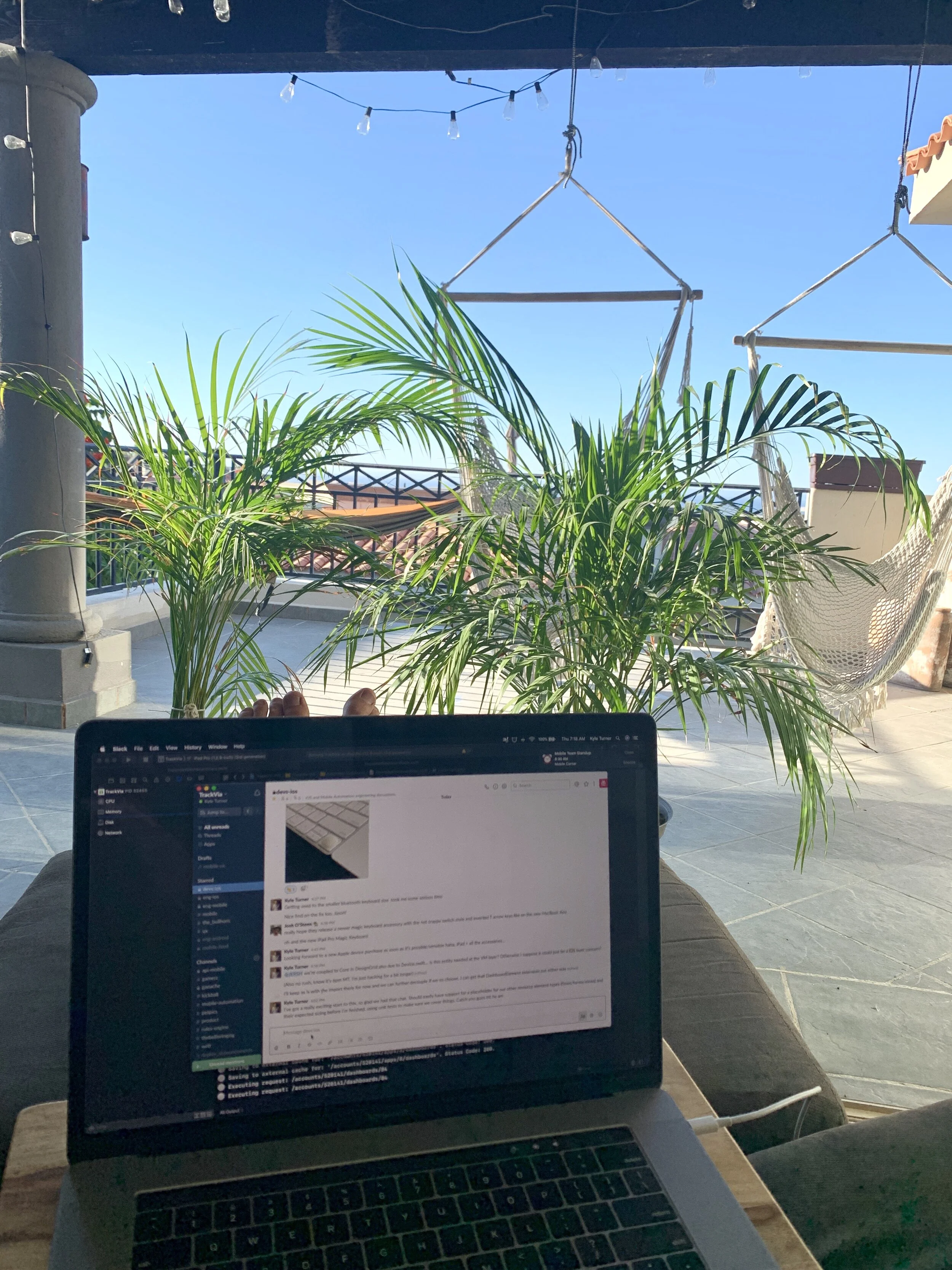 Quarantined in Cabo: Weeks 4 & 5 (3/30 - 4/12)