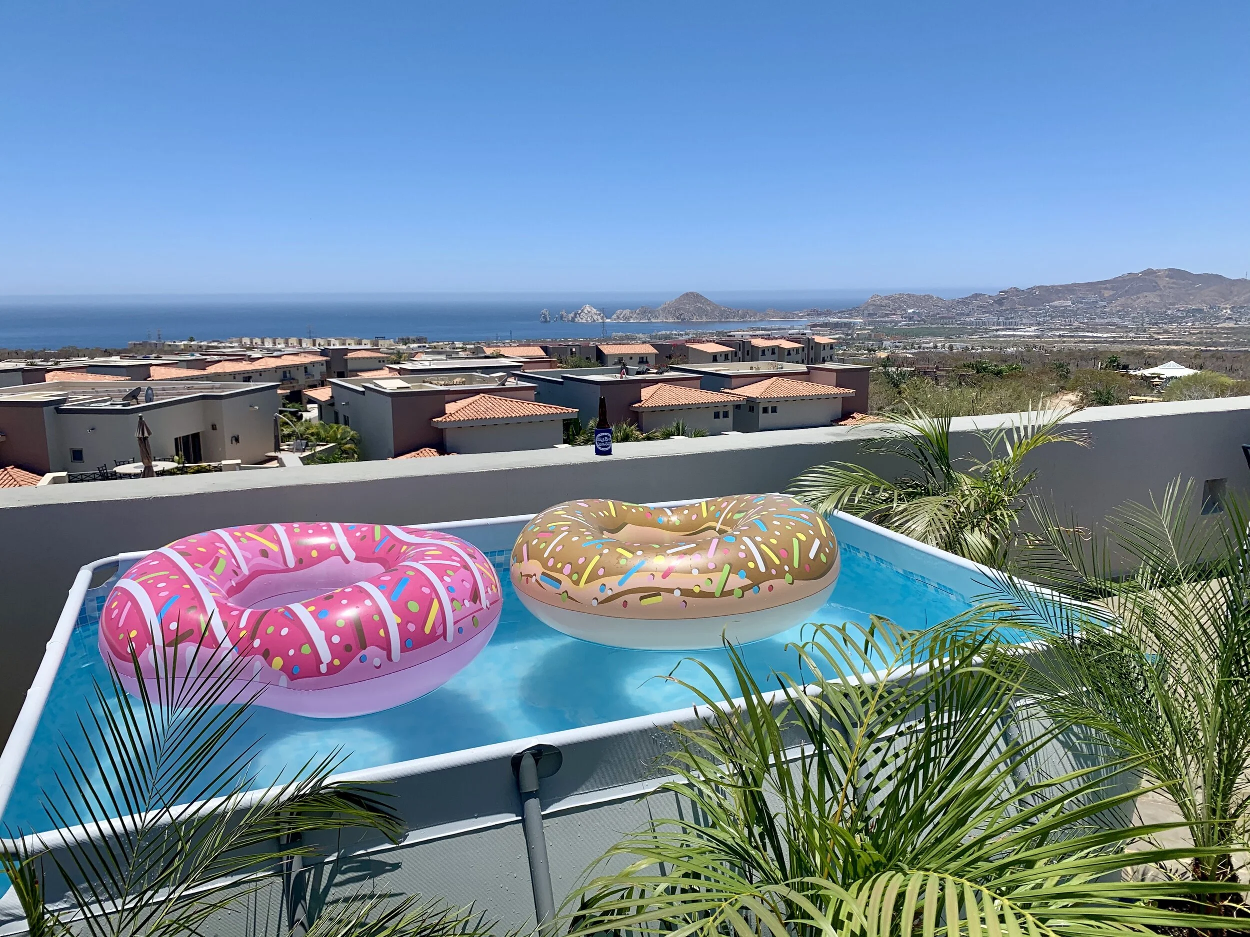 Quarantined in Cabo: Weeks 6-9 (4/13 - 5/10)