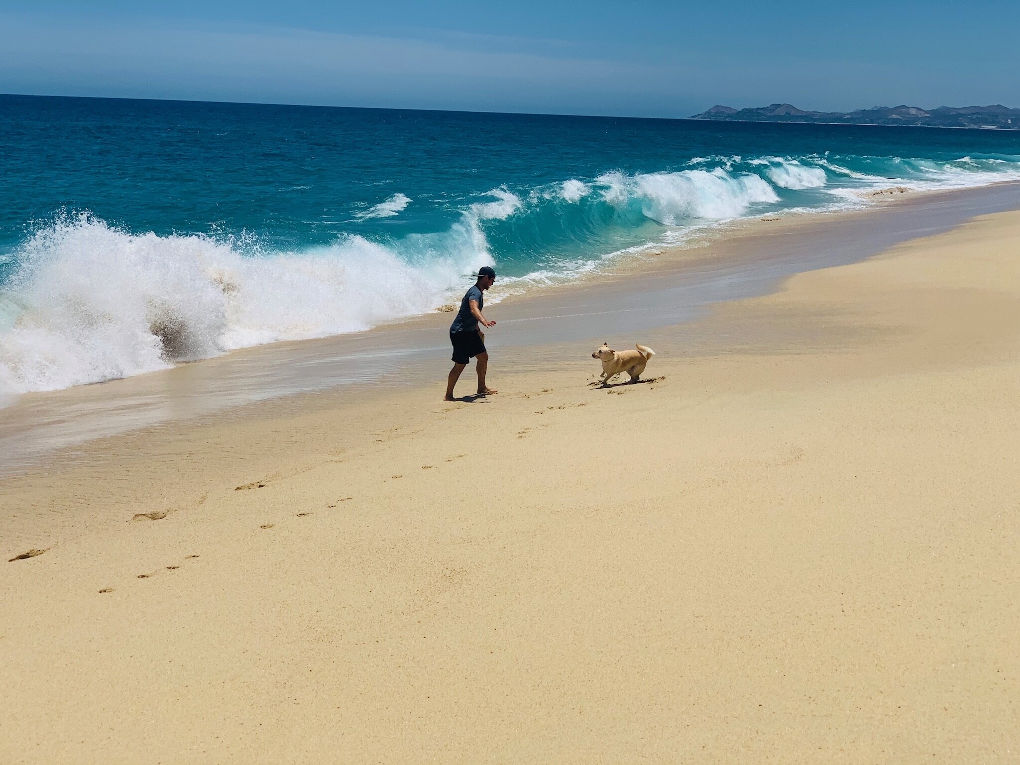 Quarantined in Cabo: Weeks 10 - 12 (5/11 - 5/31)