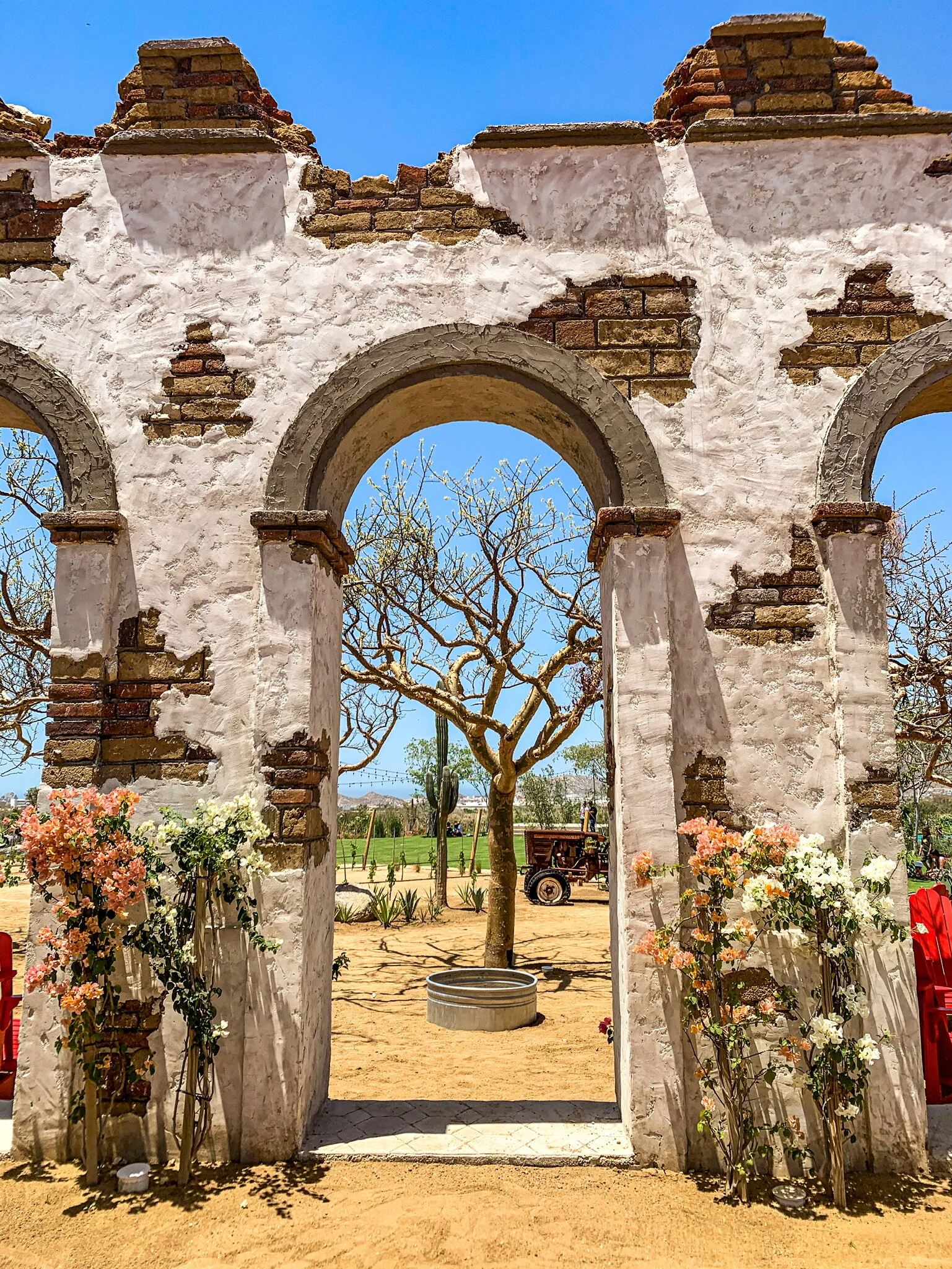 Quarantined in Cabo: Weeks 13 - 14 (6/1 - 6/15)