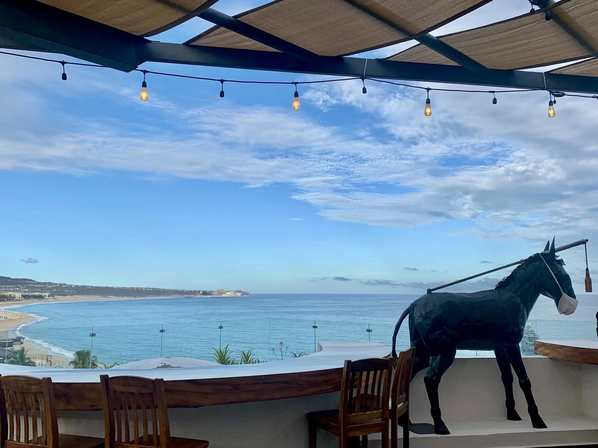 Discovering Our New Normal in Cabo