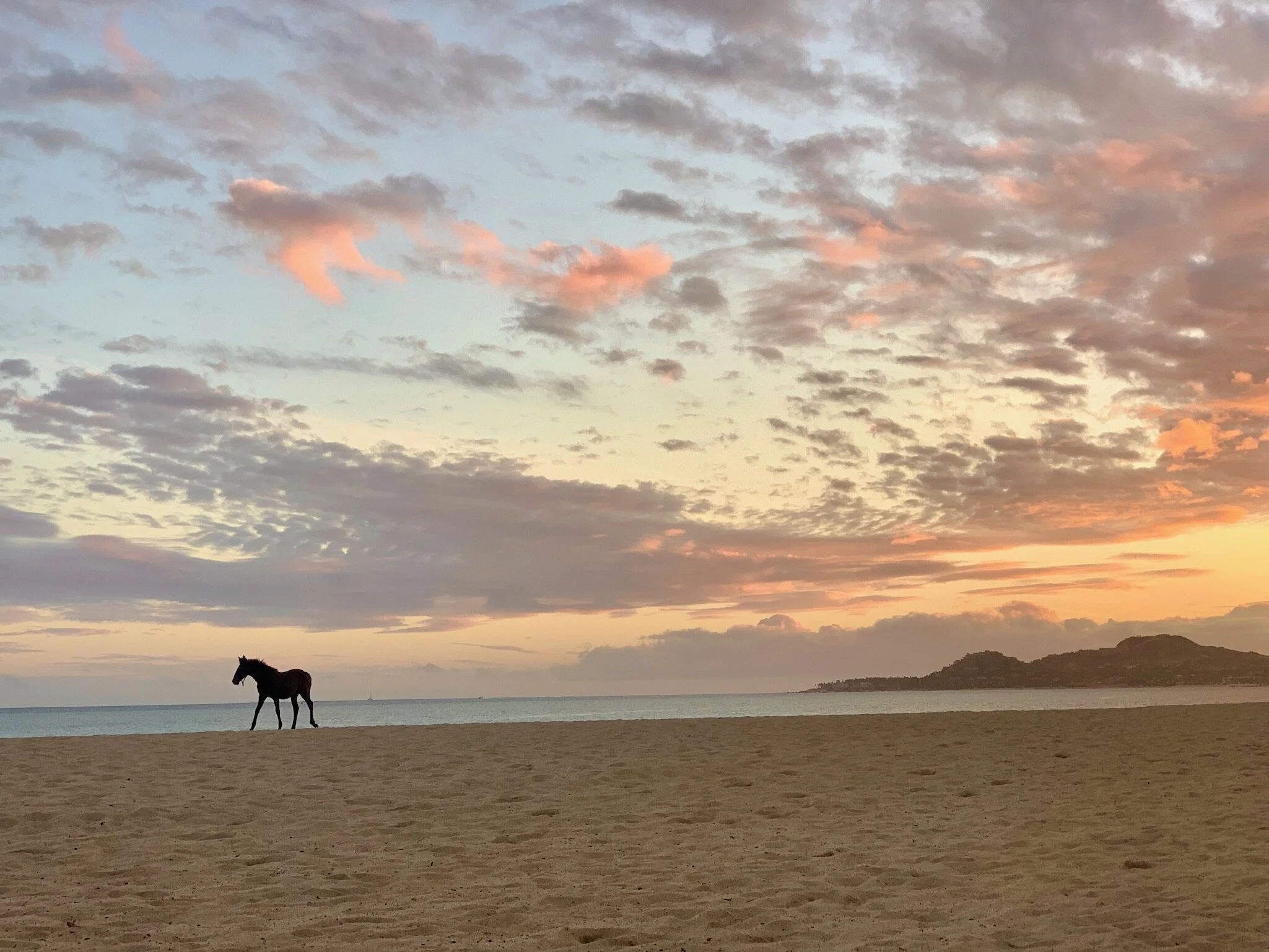 One Year Down: Looking Back on Our First Year in Cabo