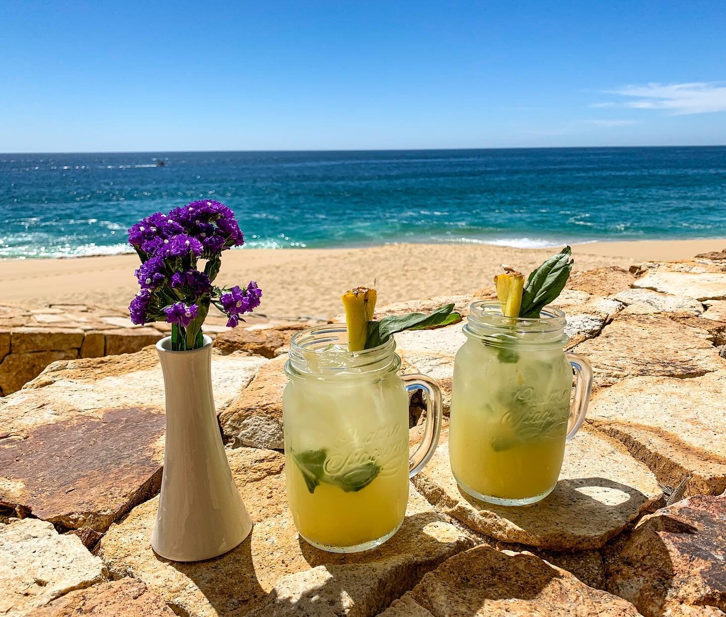We&rsquo;ll take our Sunday cocktails with a side of whale watching please.

🆆🅷🅰🆃 Mezcalitas infused with pineapple and basil &mdash; the perfect weekend refresher. Enjoy their farm-to-table menu packed with local and seasonal ingredients everyda