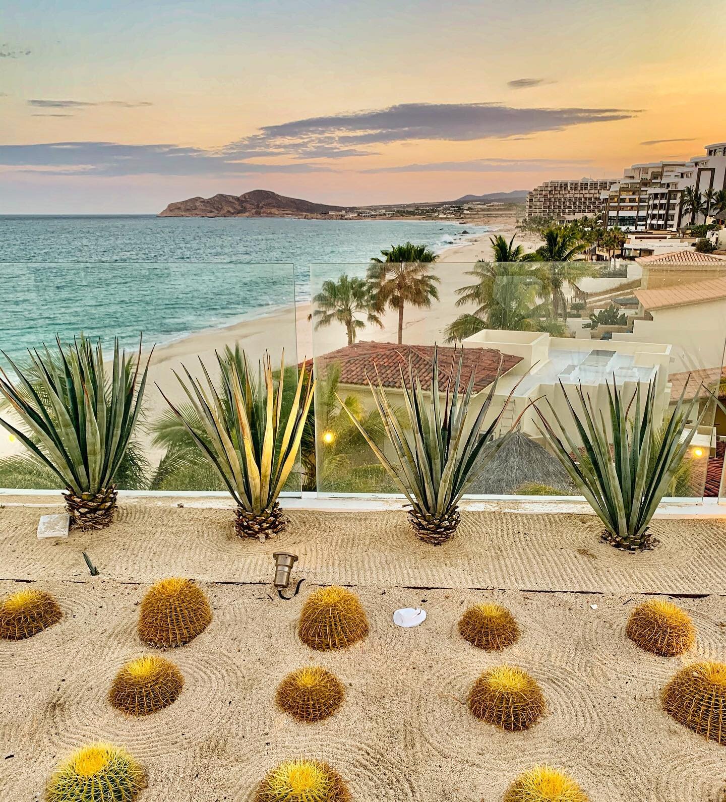 Never-ending beautiful sights to see ✨

✨What is it about Los Cabos that you love the most? Comment below!