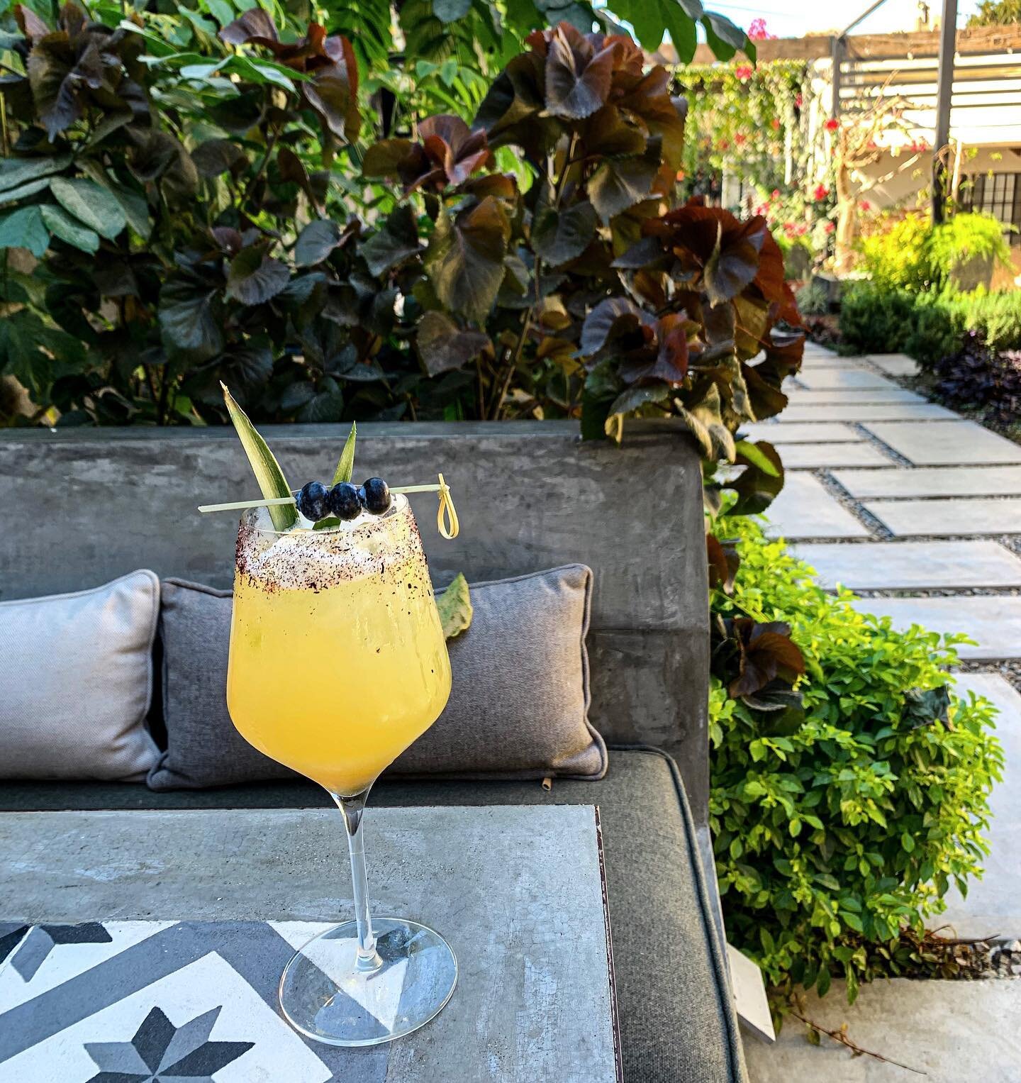 Your new S U N D A Y ✨ V I B E awaits.
⁣
🆆🅷🅰🆃 Live music, piña &amp; bourbon infused Spritz cocktails, Bacon Old Fashioneds, pizza topped with quail eggs, serrano ham, fresh mozzarella &amp; more ...all tucked inside a magical, secret garden oas