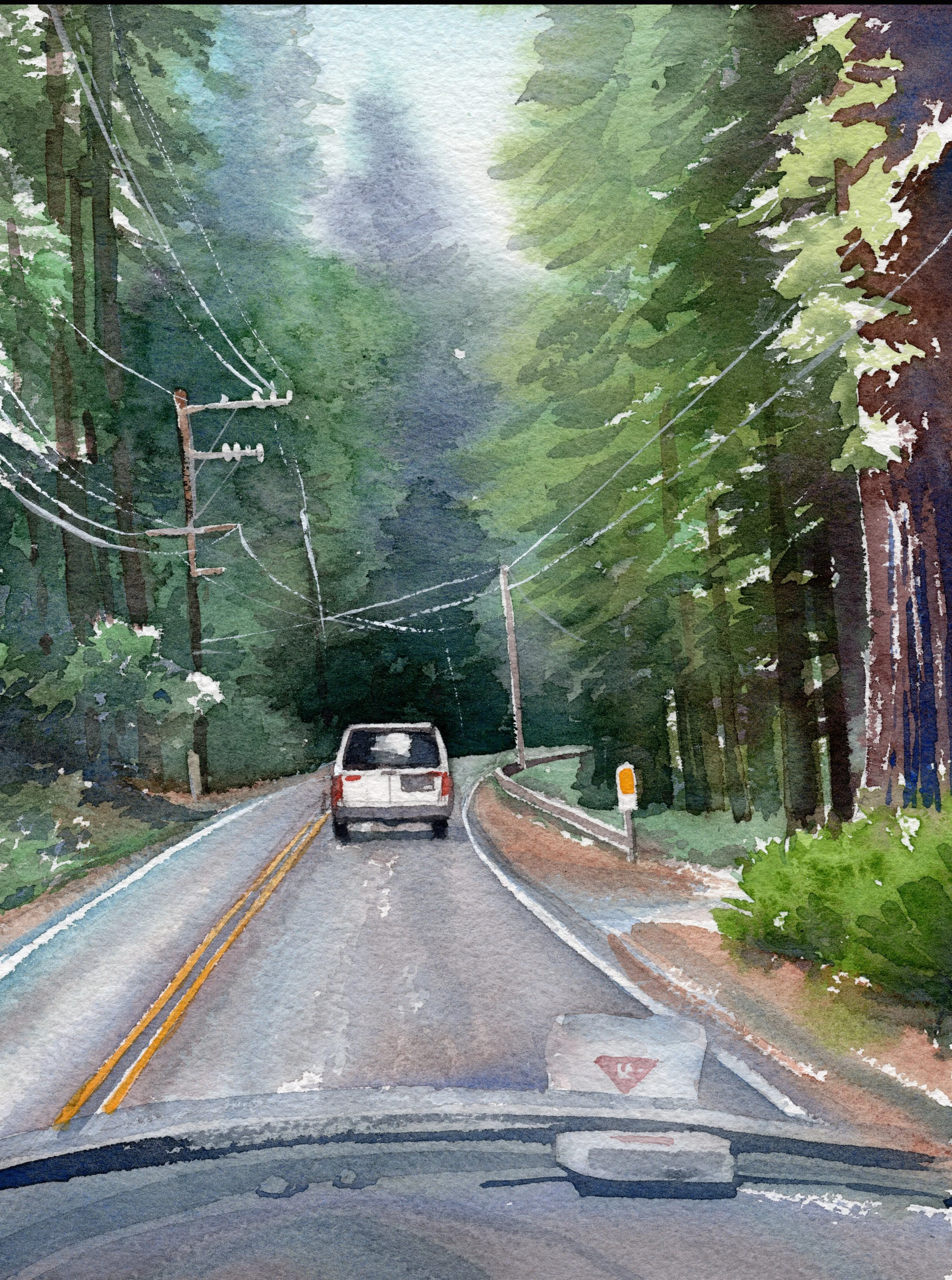 van in the forest.jpg