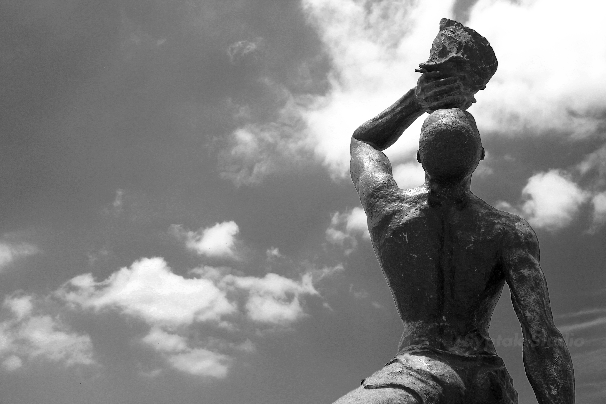 (c)JasonSyptak1 copy copy.png