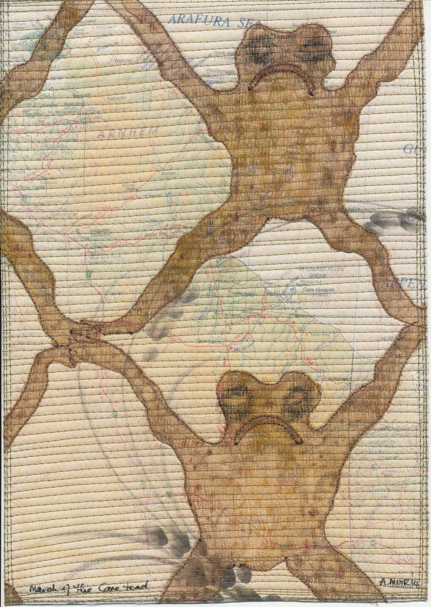 'March of the Cane Toad'