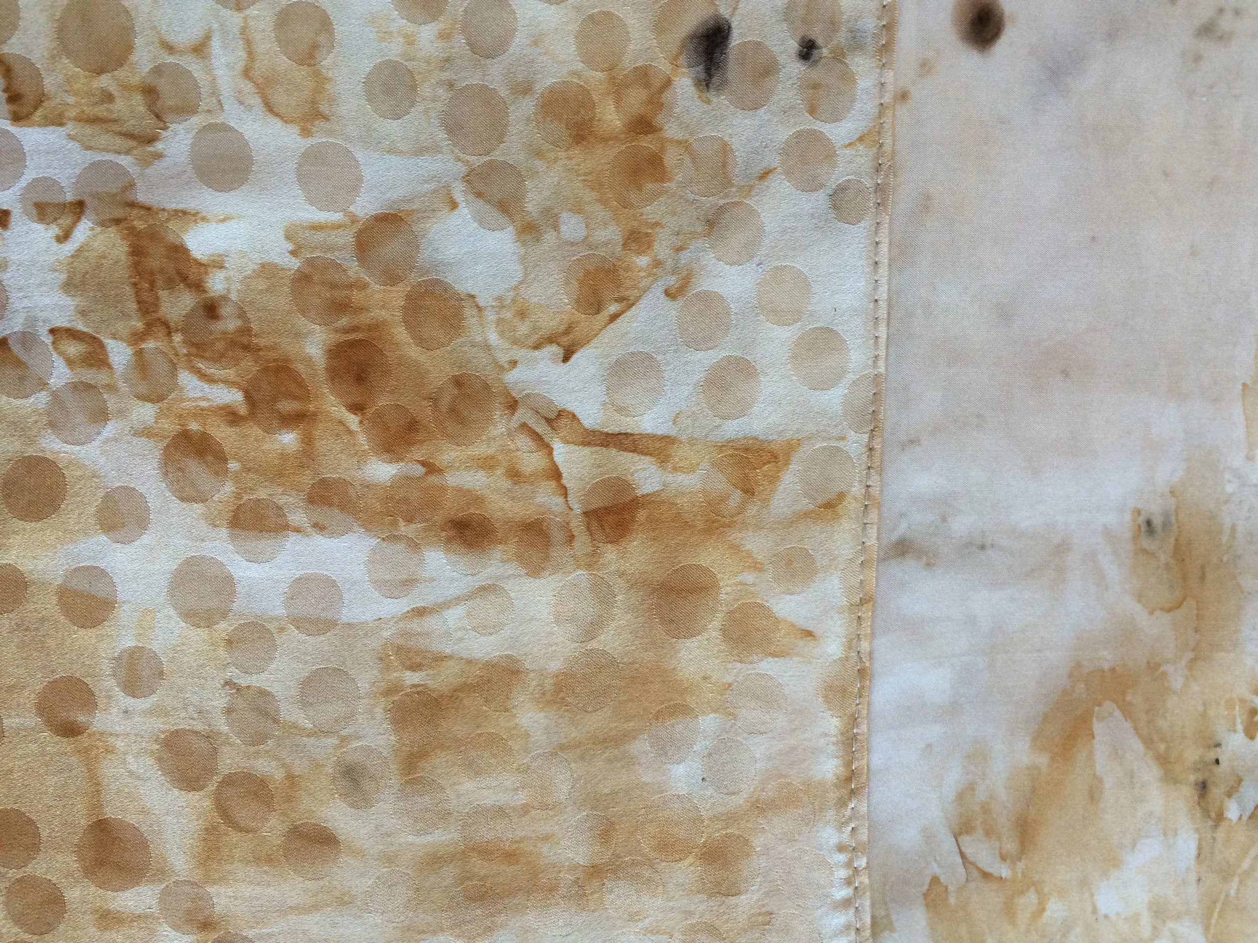 Rust Dot