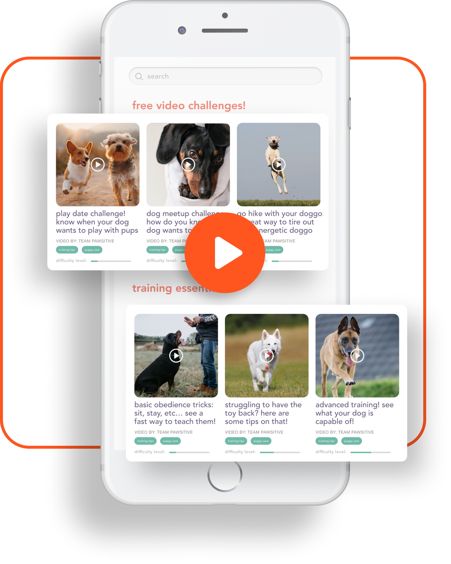 pawsitive puppy school