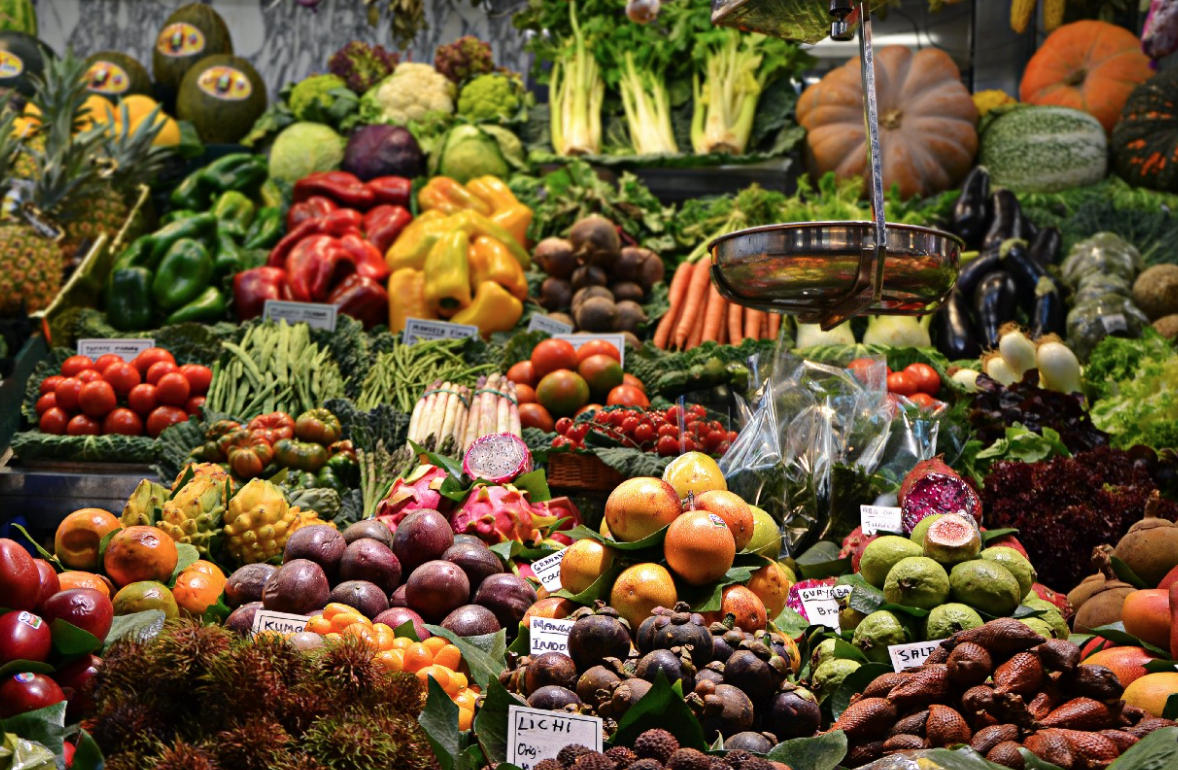 what is good for dogs to eat