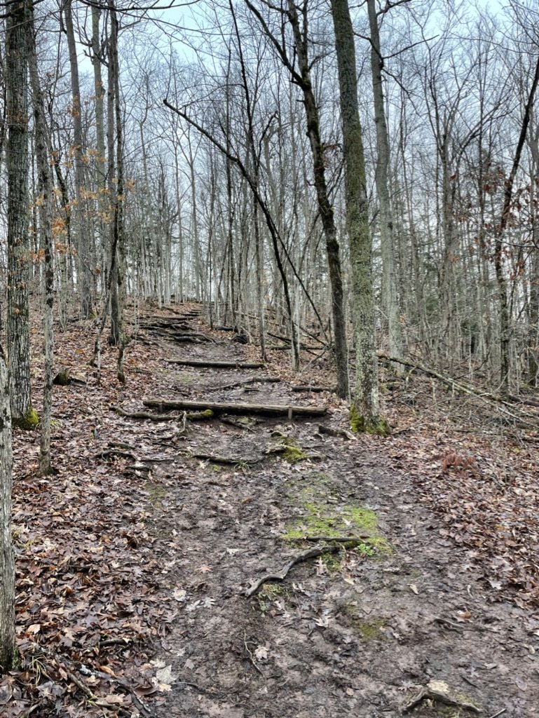 Take The Best &amp; Leave The Rest...2023