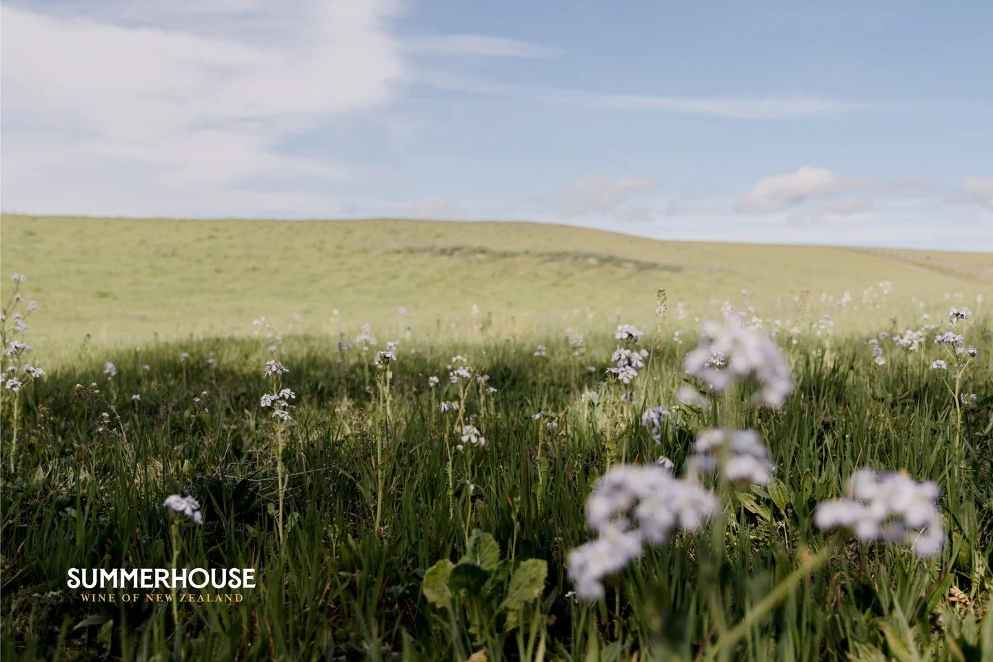 Wine that tastes like sunshine, and soil that smiles back⁠ 🌞🌱⁠
⁠
Caring is sharing &ndash; for the land, the people and the process.⁠ Perfectly positioned in the sunniest part of the country, we look after the dry⁠ and barren landscape. We collect 