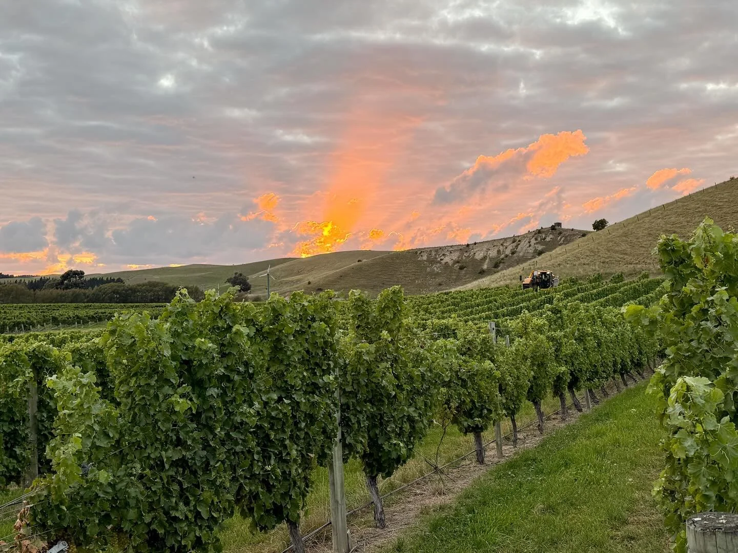 Captured this morning at our Blind River Vineyard, vintage 2026 is now underway, with a stunner sunrise to start it off! 🌅✨🥂

#vintage2026 #marlboroughwine #marlboroughnz
