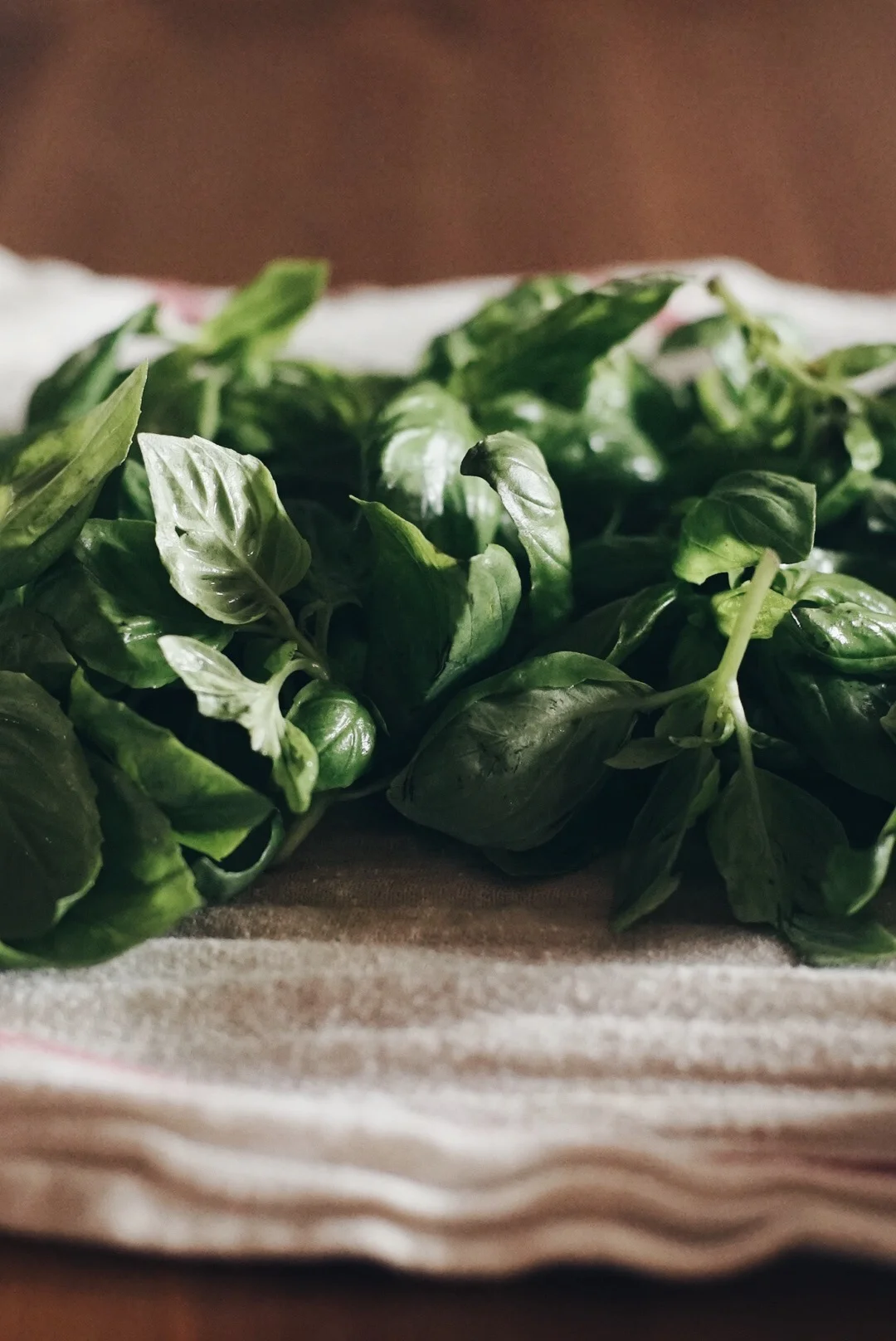 basil pesto 