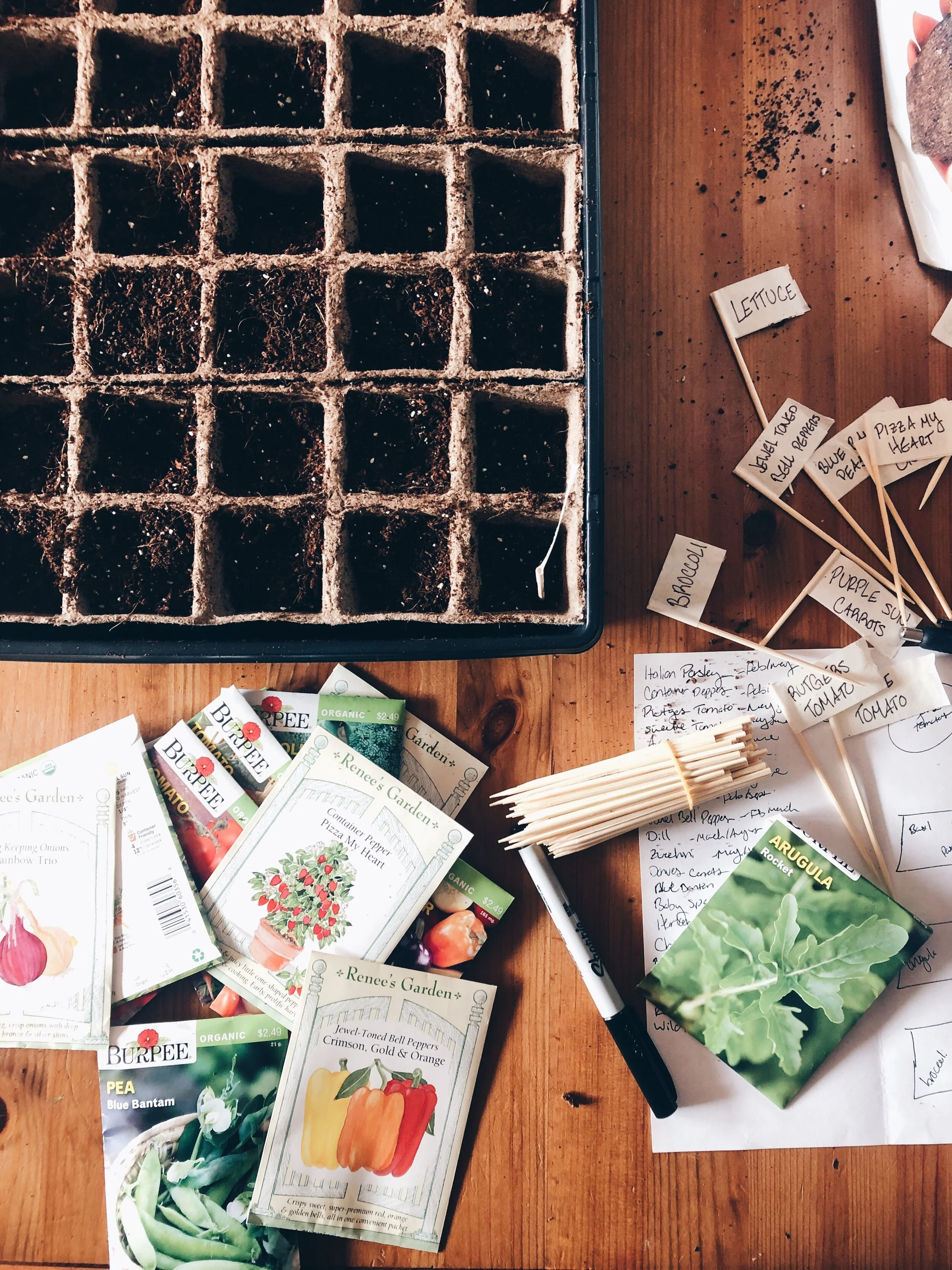 planting a spring container garden