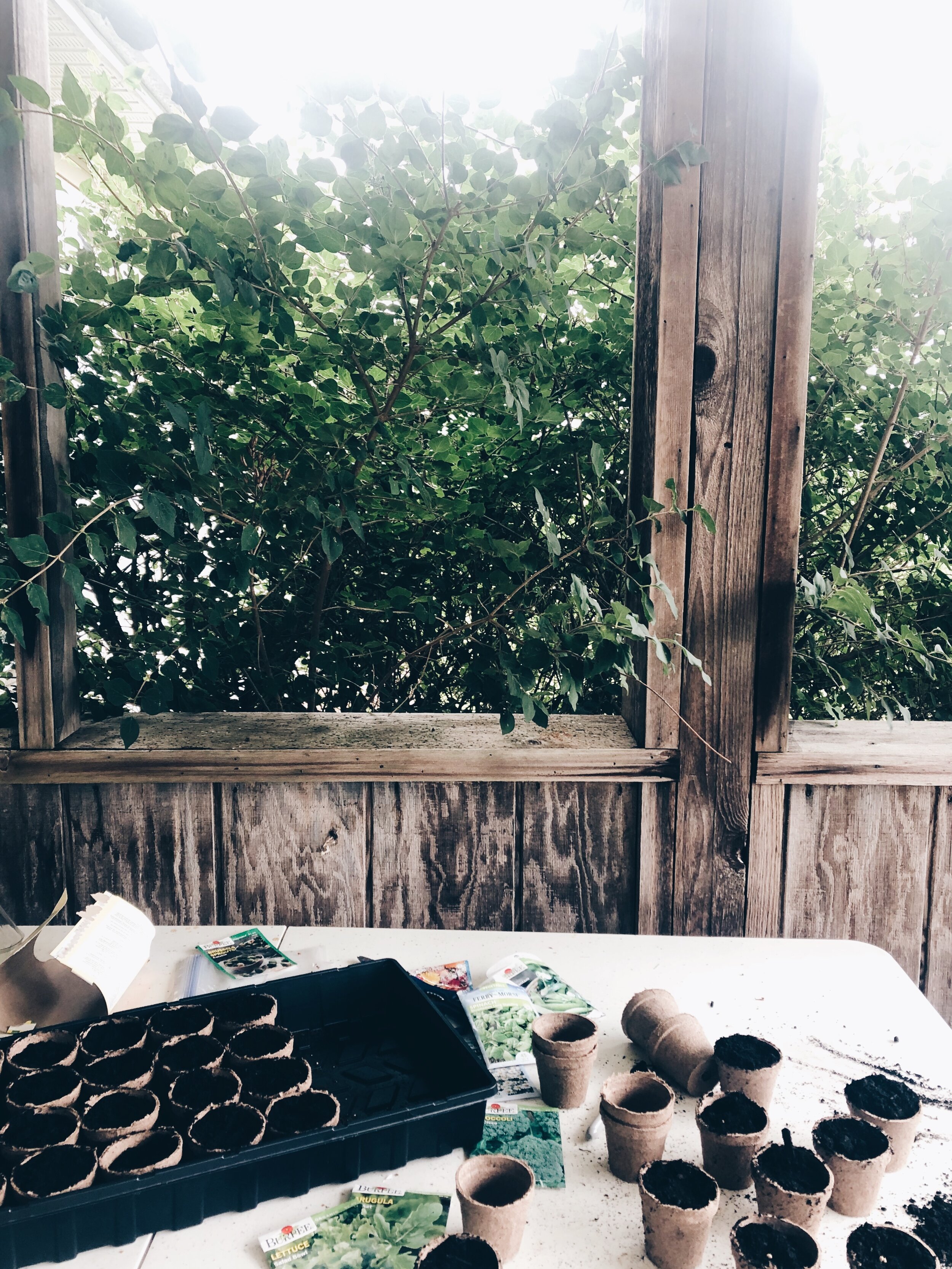 fall garden planting and prep