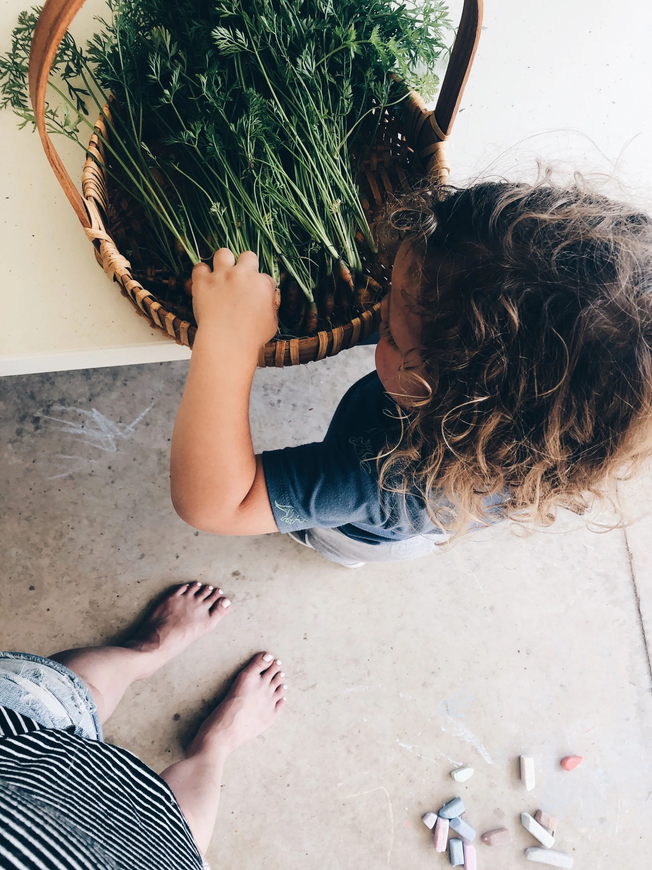 garden harvest and update