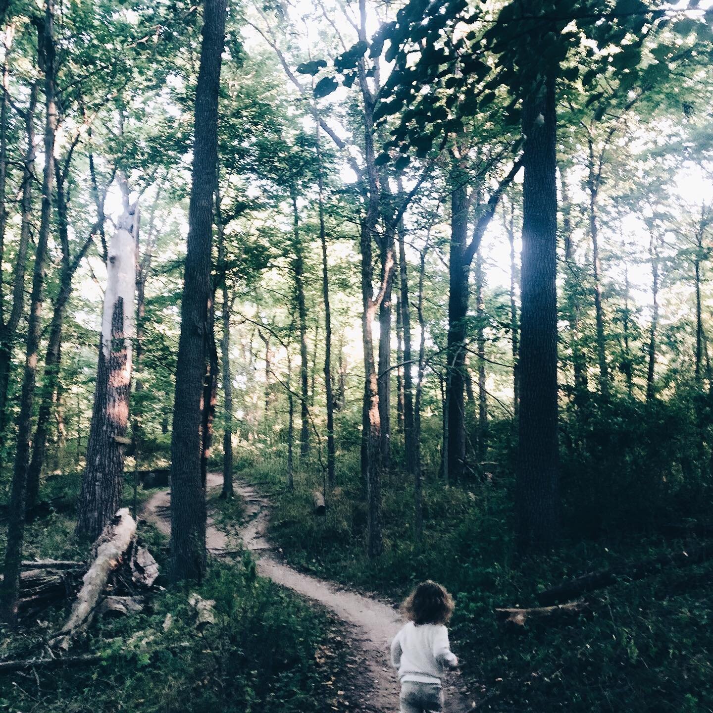 anyone else missing spring?? winter is so hard for me and I do things like disappear for a month here while I  adjust and make it through the long, cold days. I&rsquo;m so deeply missing the frequent sunshine, warm weather and everything green and bl