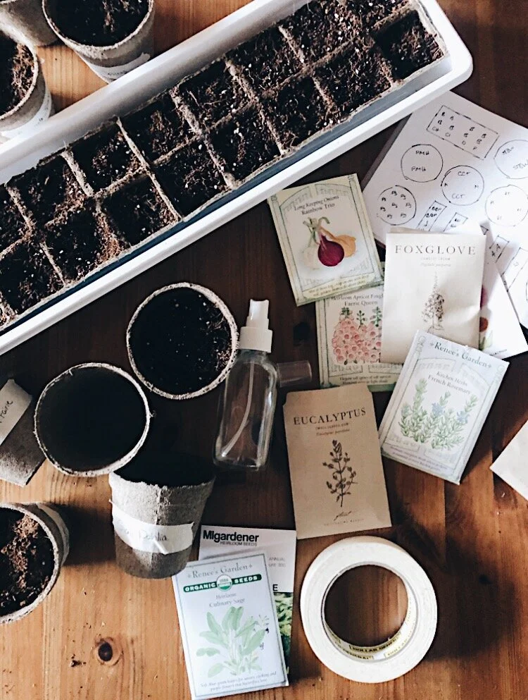 starting seeds for a spring garden