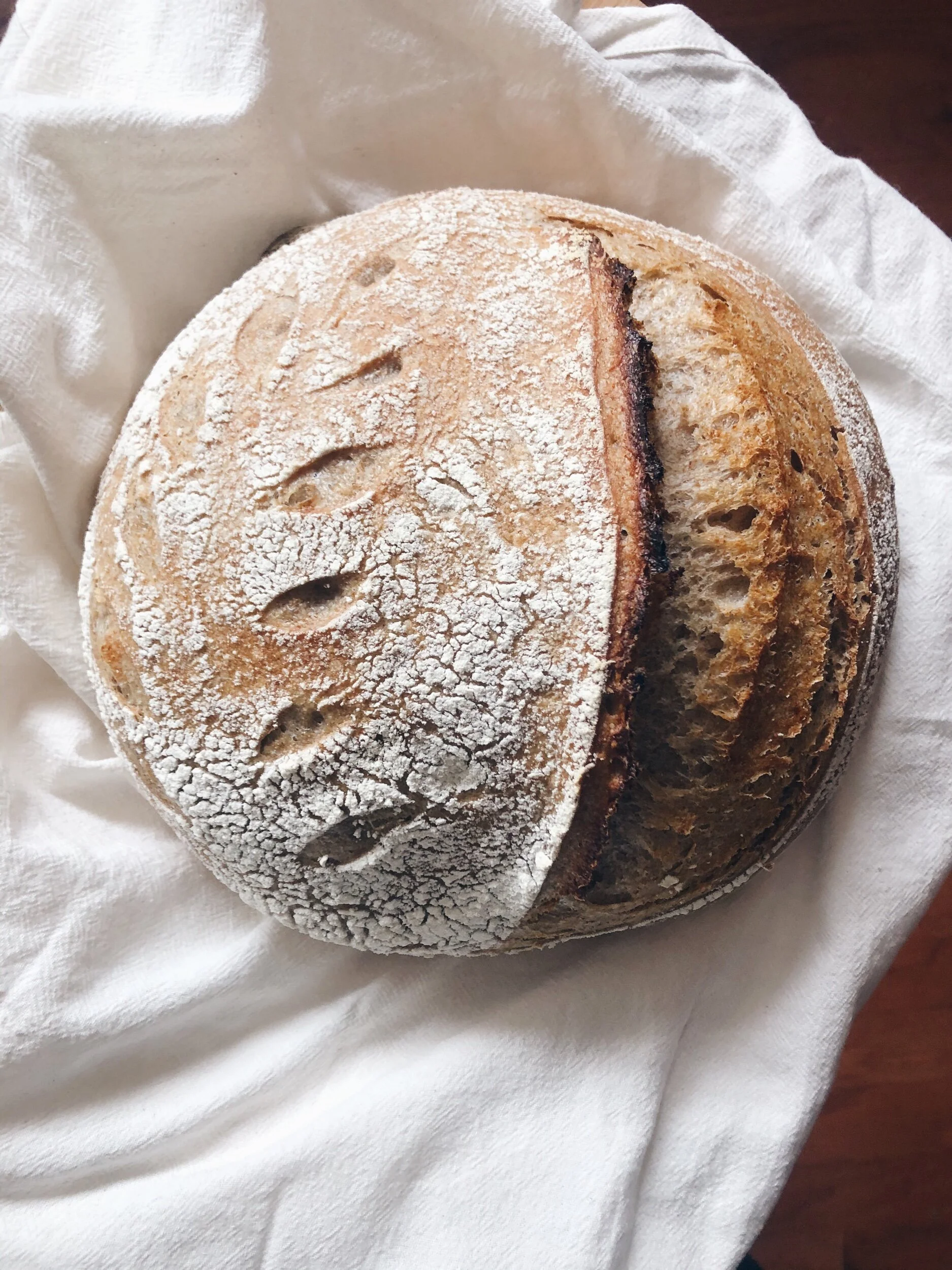 sourdough basics