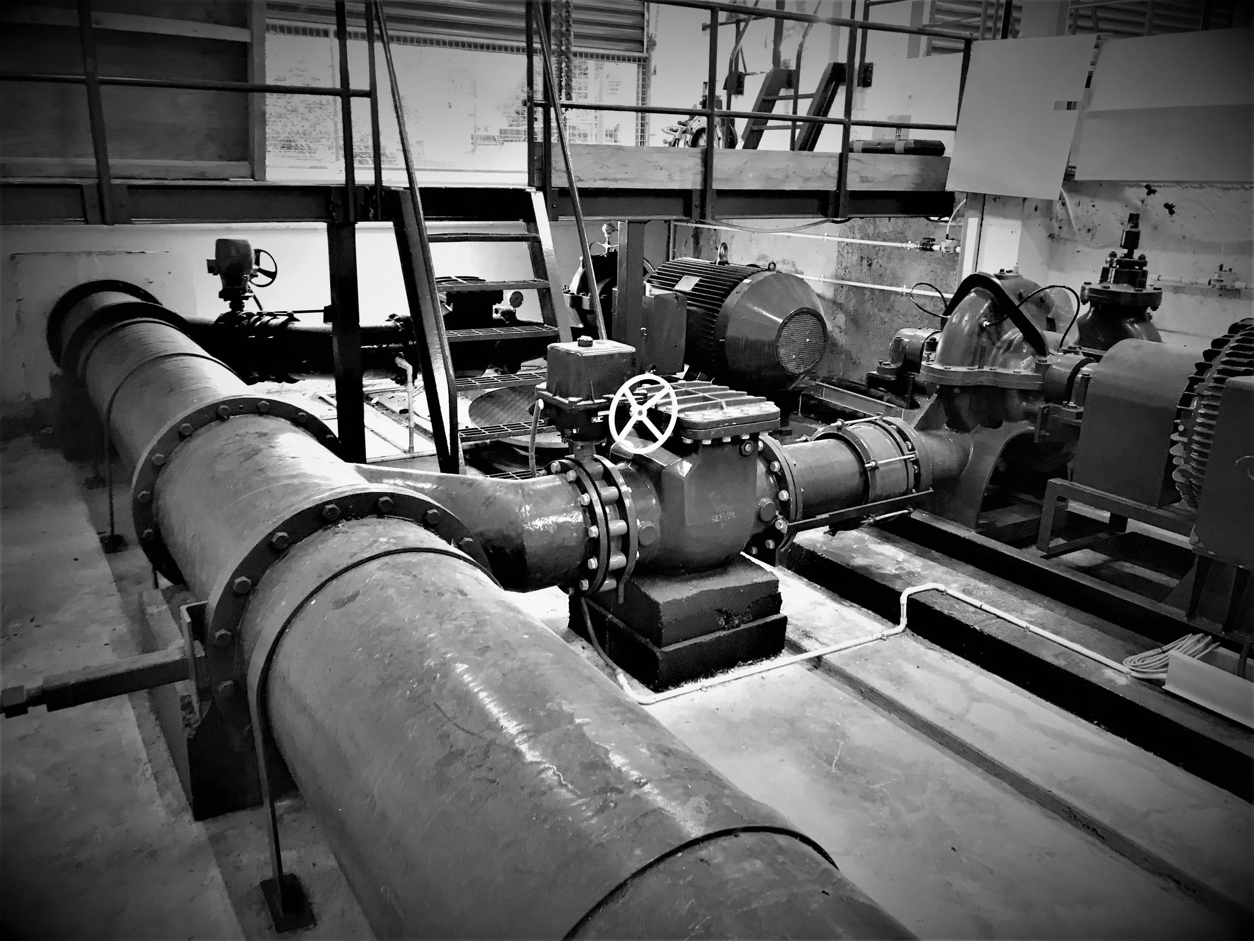 2019-06-07 14.29.37_2.jpg