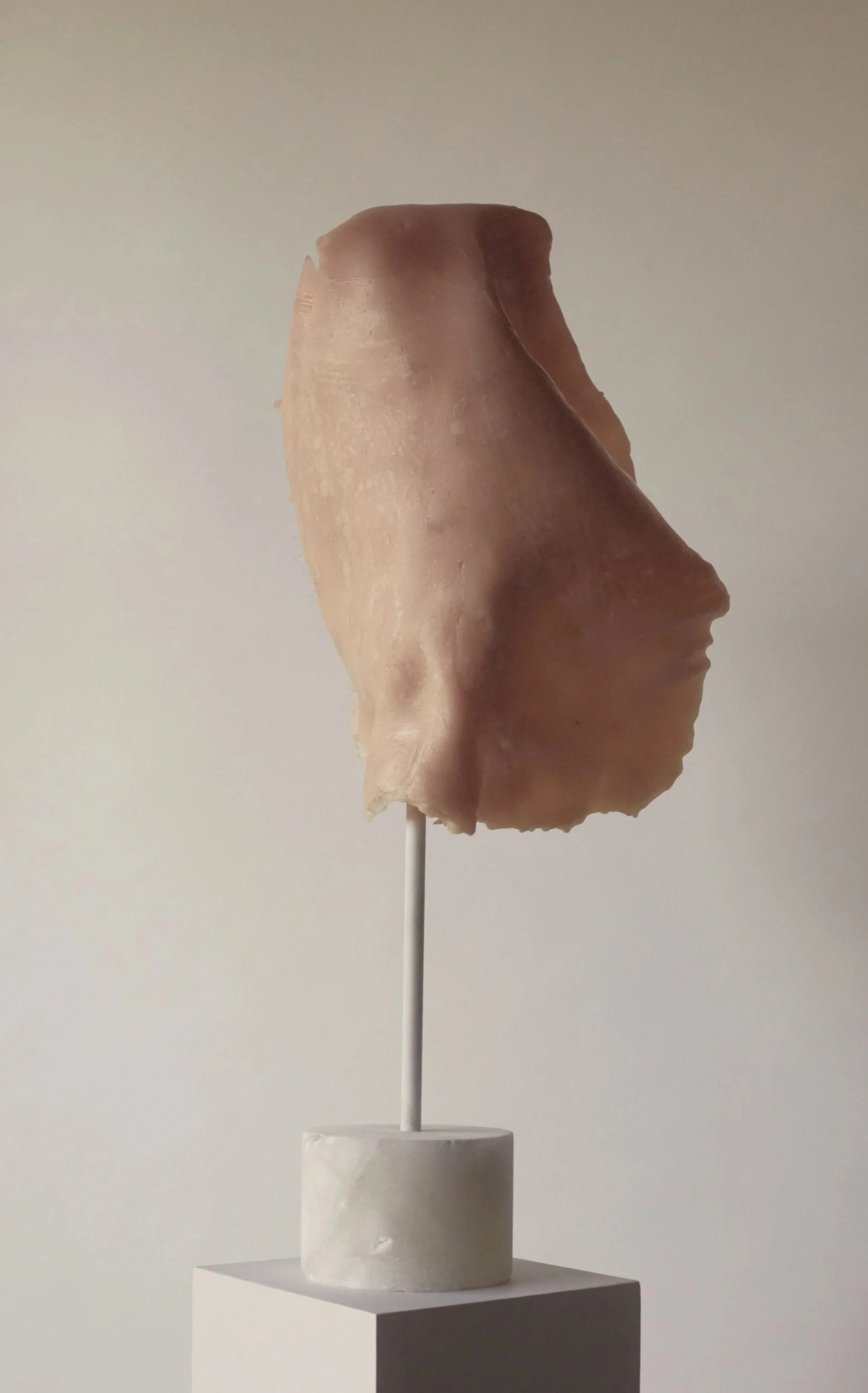 Flesh Flag
Microcrystalline wax, pigment, hair, metal, and stone
13 x 8 x 6 in (33 × 20 × 15 cm)