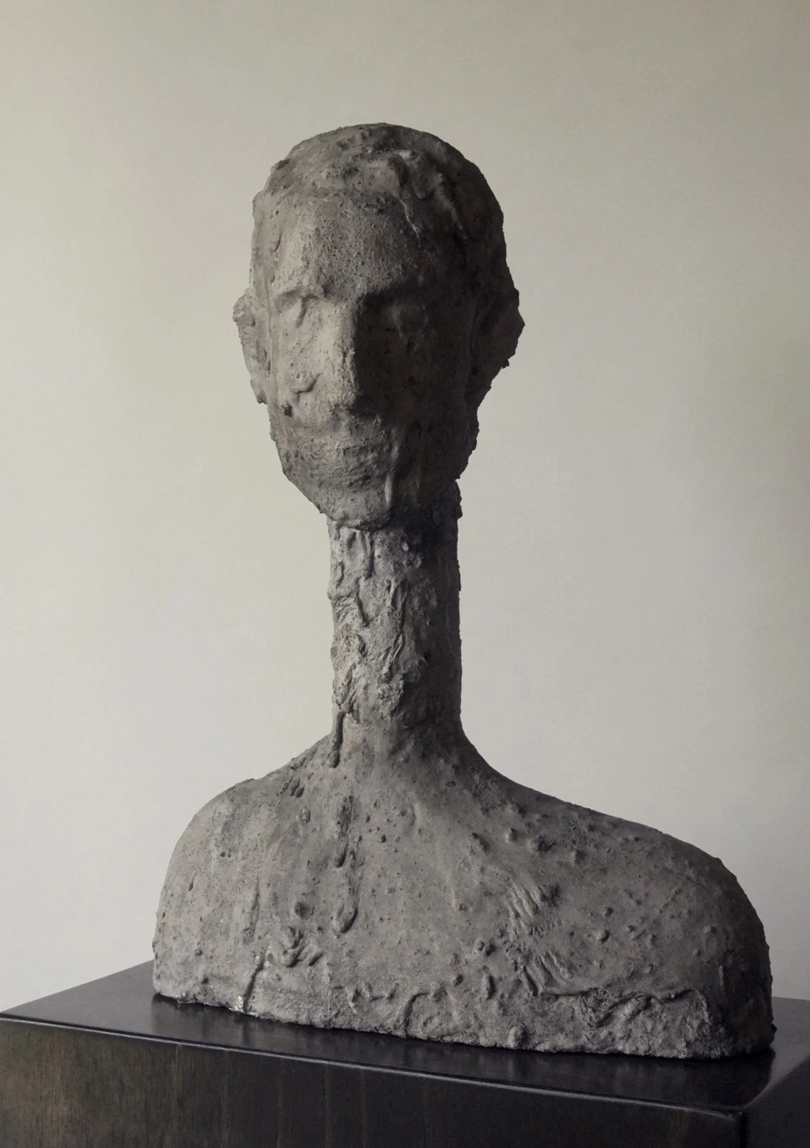 Afterimage
Foam, concrete, soil, pigment, and latex paint
21 x 15 x 8 in (53 × 38 × 20 cm)