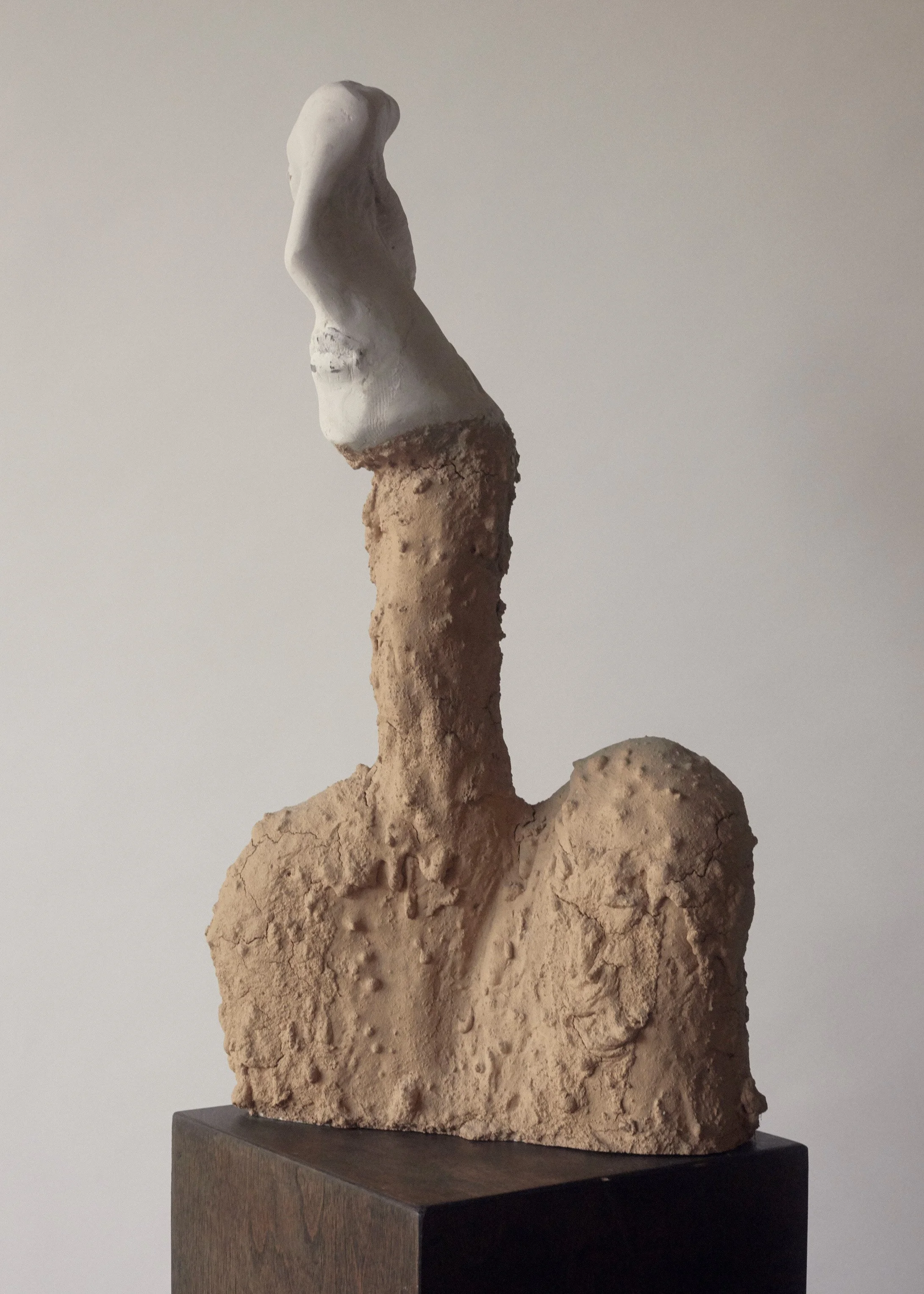 Neither
Foam, Aqua-Resin, Aqua-Veil, soil, pigment, and latex paint
20 x 10 x 6 in (51 × 25 × 15 cm)