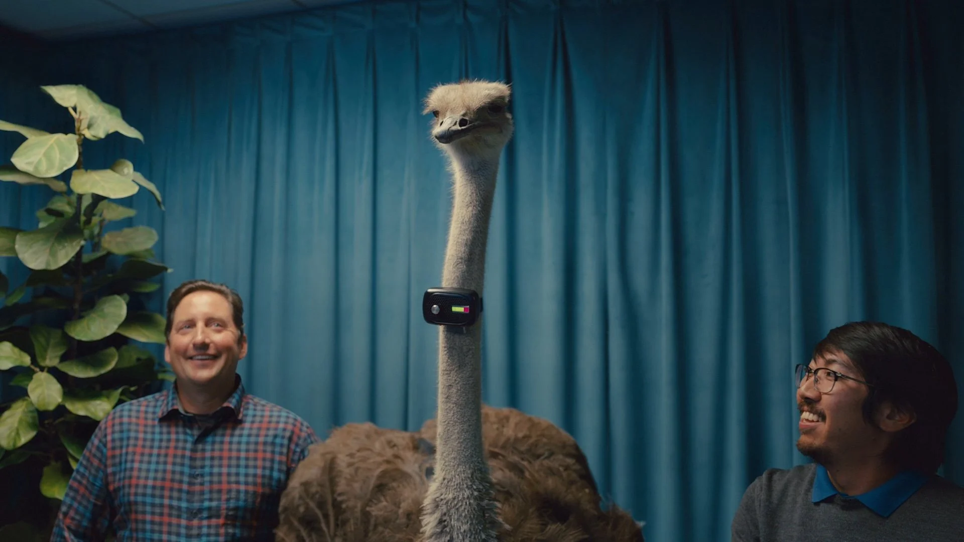 Amazon Business "Pet Chat"