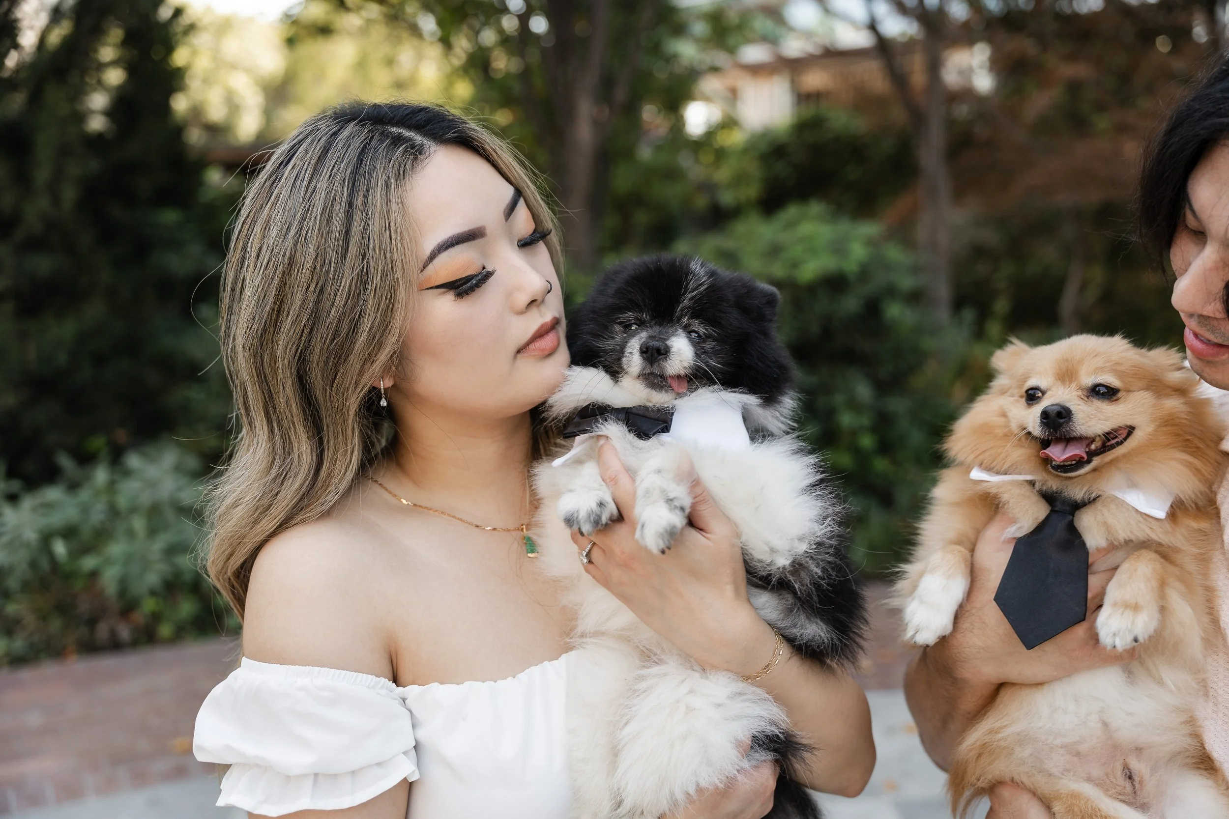 Pet love