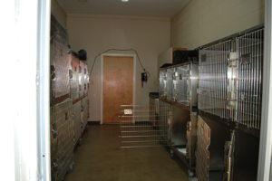 kennels-300x200.png