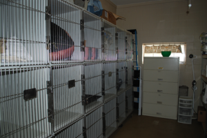 cat-kennels-300x200.png