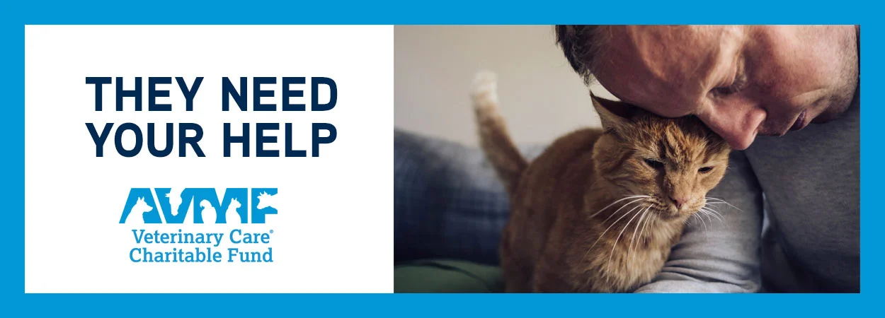 charitable vets near me