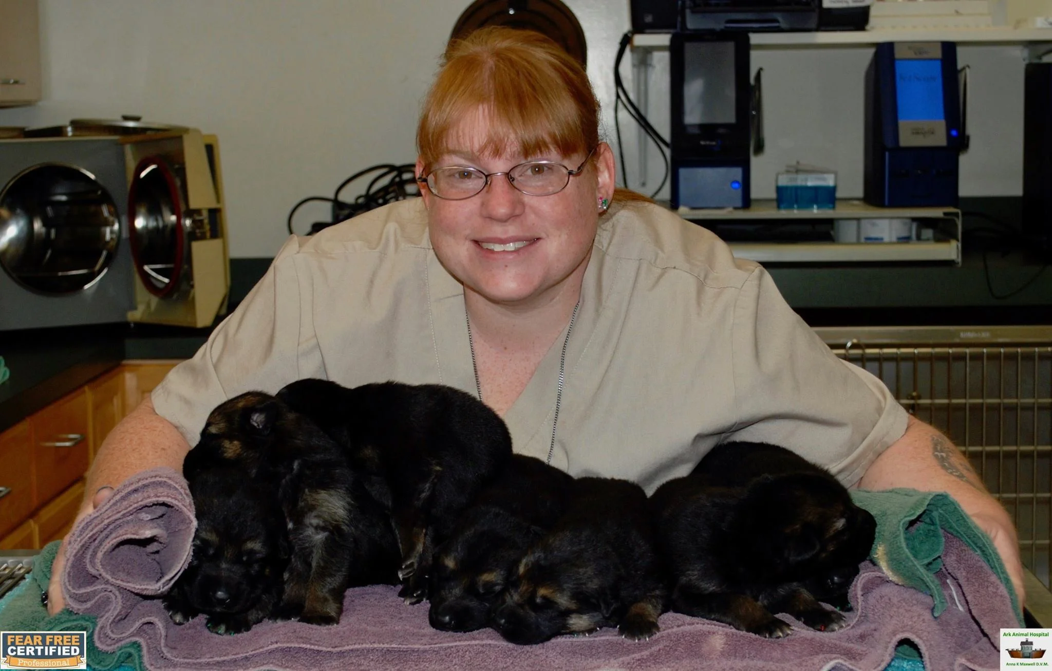 puppies.jpg