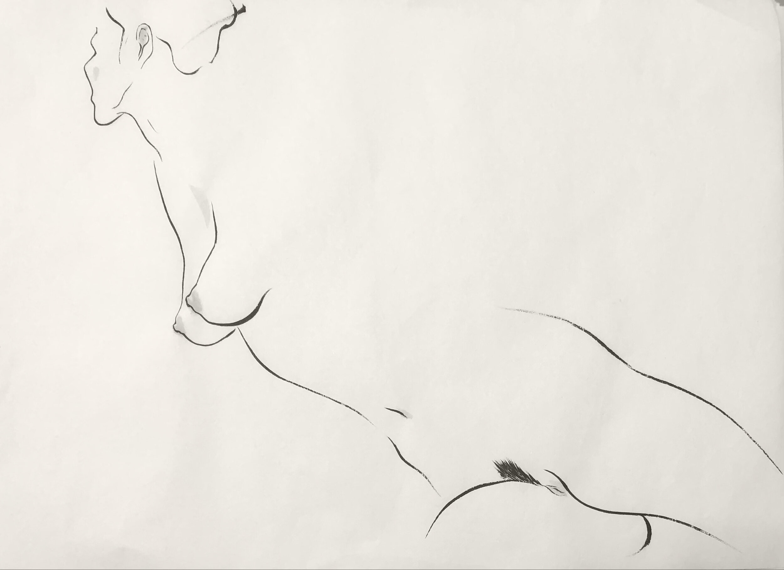 Lines-of-Anna-Cole-Norton.jpg