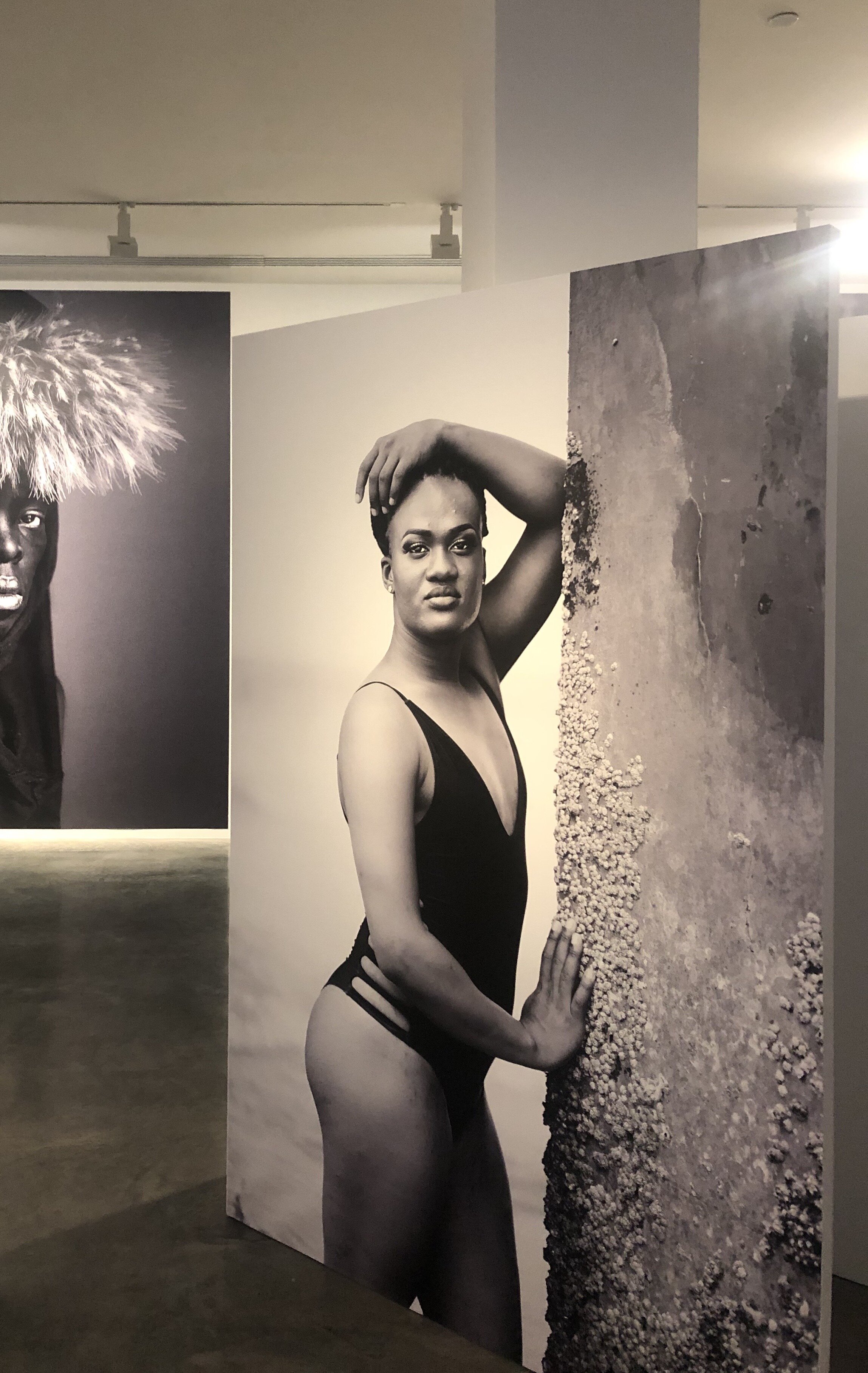  Zanele Muholi,  Brave Beauties , 2014-present, installation view, 22nd Biennale of Sydney: NIRIN, Museum of Contemporary Art Australia, Sydney, 2020.  Photo: Alexandra McDermott Brown 