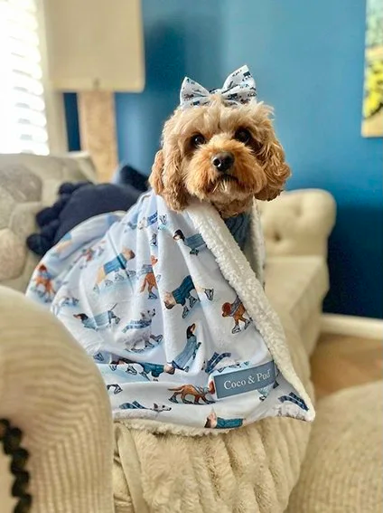Illustrated and textile design of skating dogs repeat print on a dog blanket