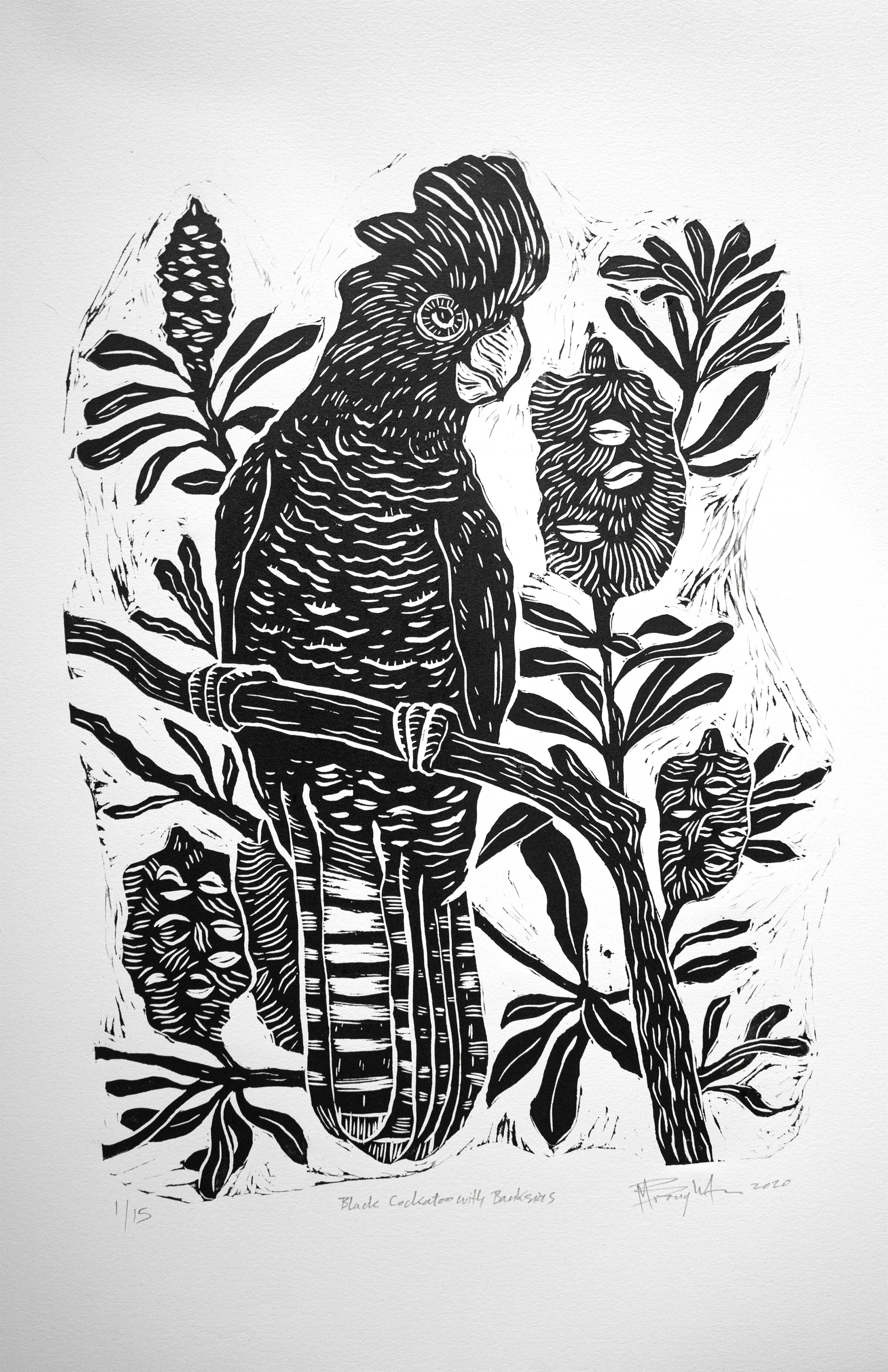 Lino cut print of a black cockatoo and bankisa tree