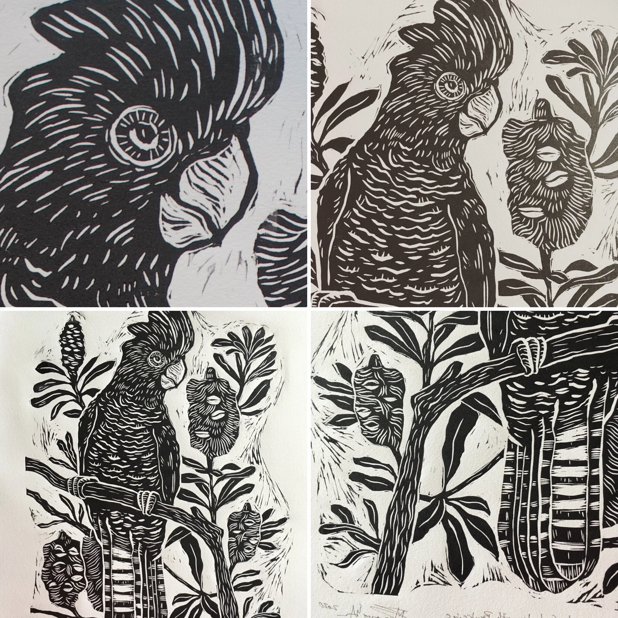 black cockatoo lino cut.JPG
