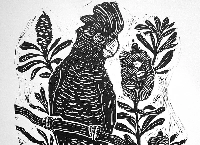 Black Cockatoo with Banksias_1a thumbnail.jpg