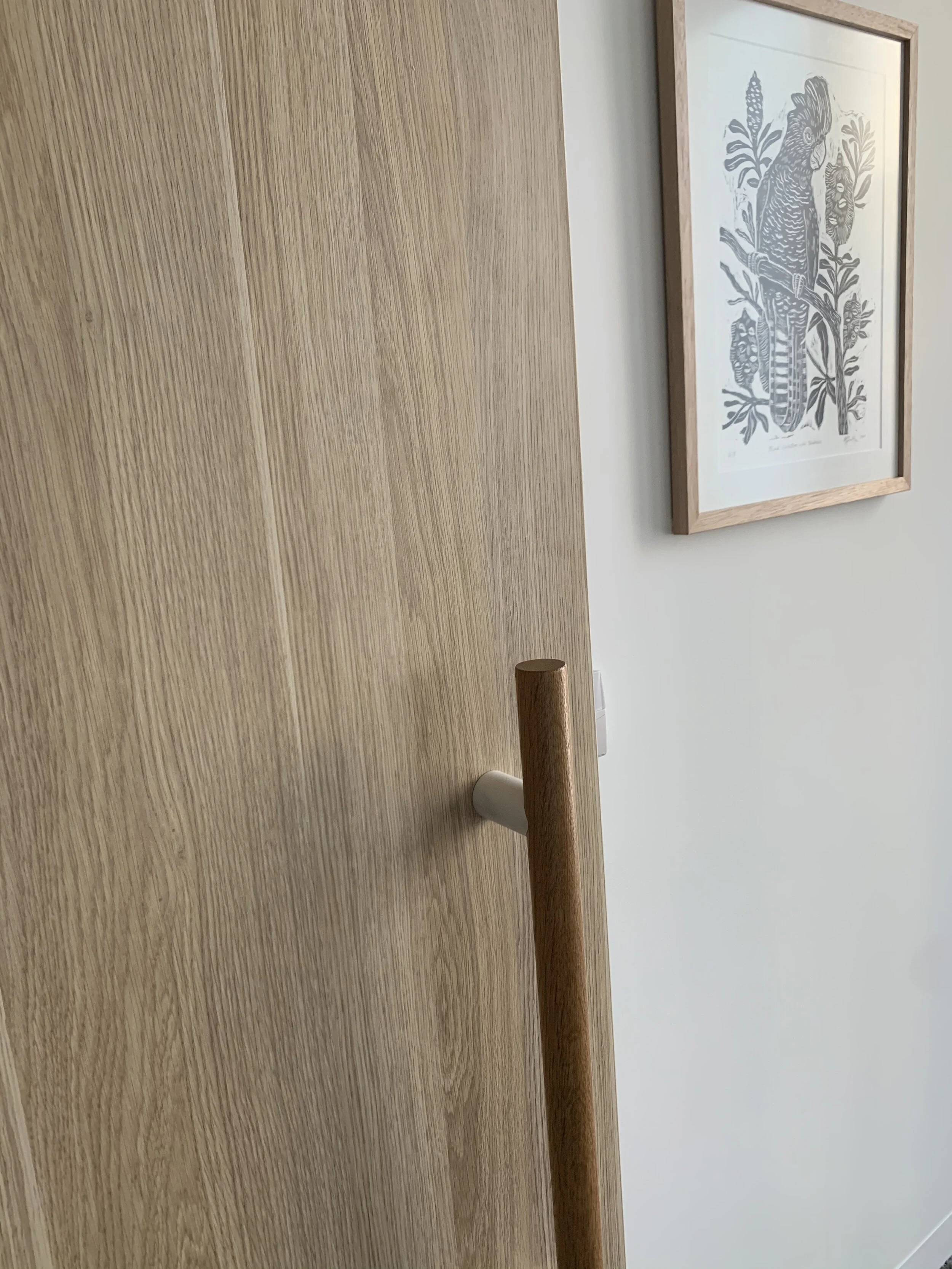 Black cockatoo framed 2.jpg