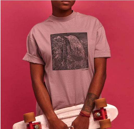 Unveiling Nature's Canvas: Crafting California's Iconic Landscapes