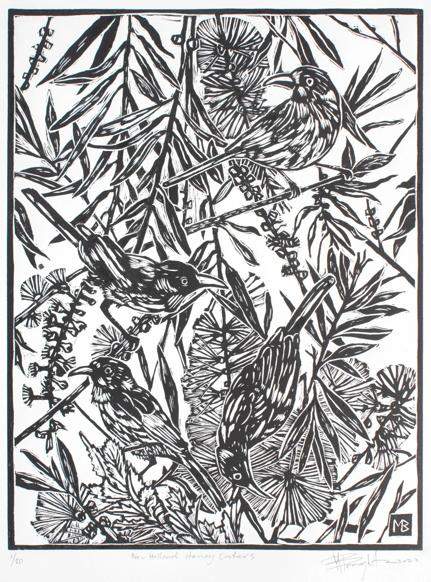 Honeyeater+linocut+copy.webp