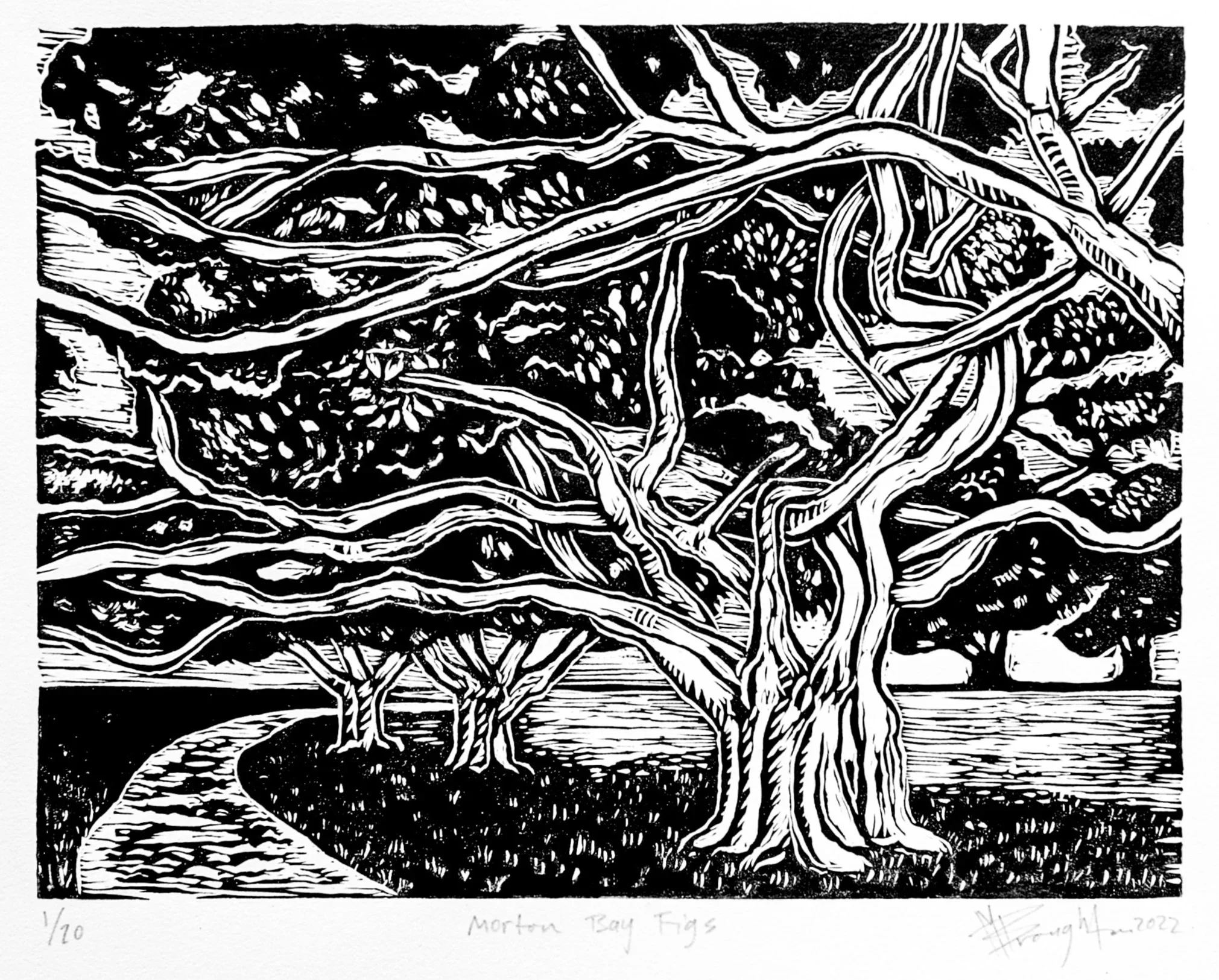 morton+bay+figs+linocut.webp