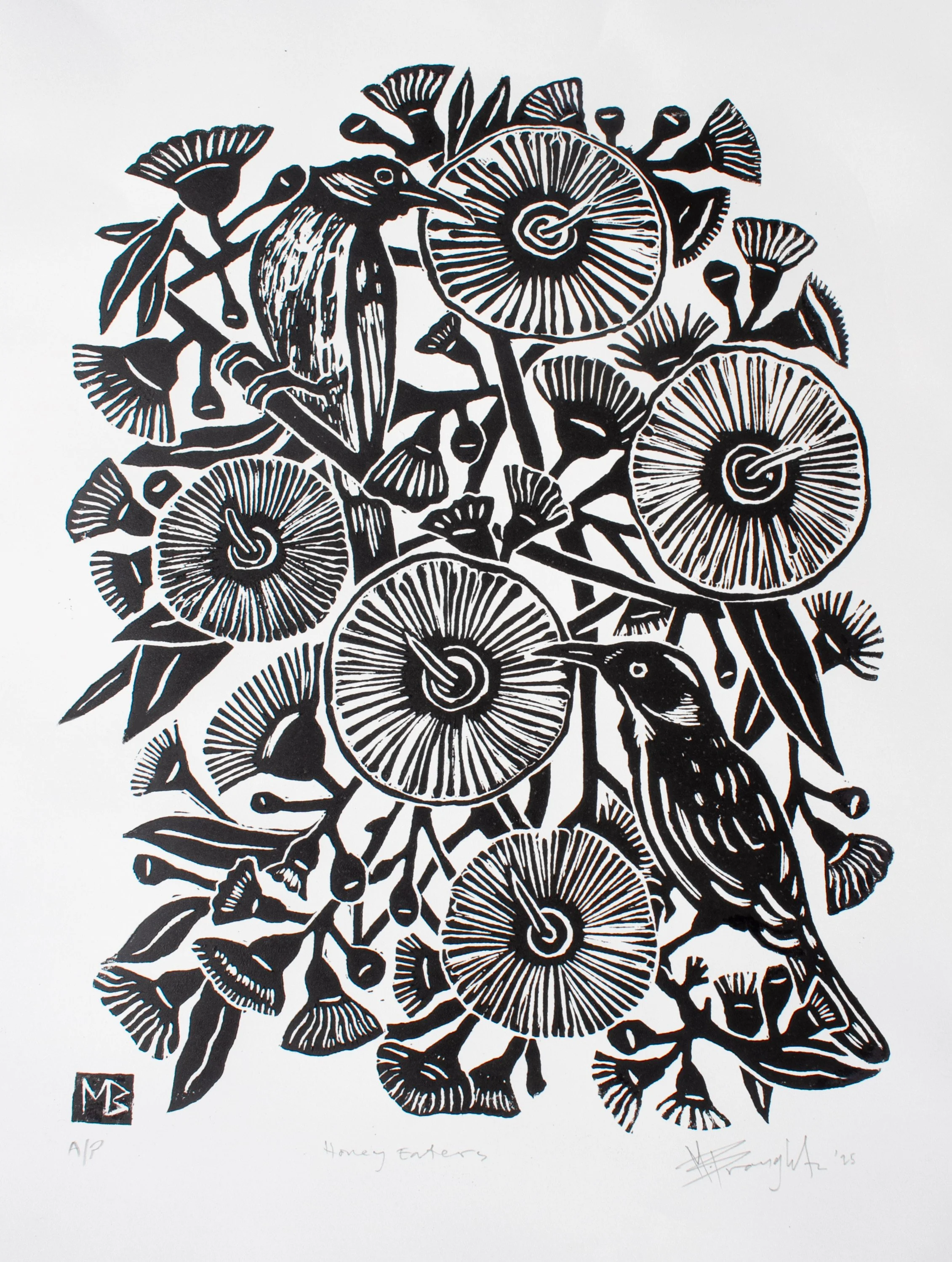 White-cheeked Honeyeaters | Limited Edition Linocut Print